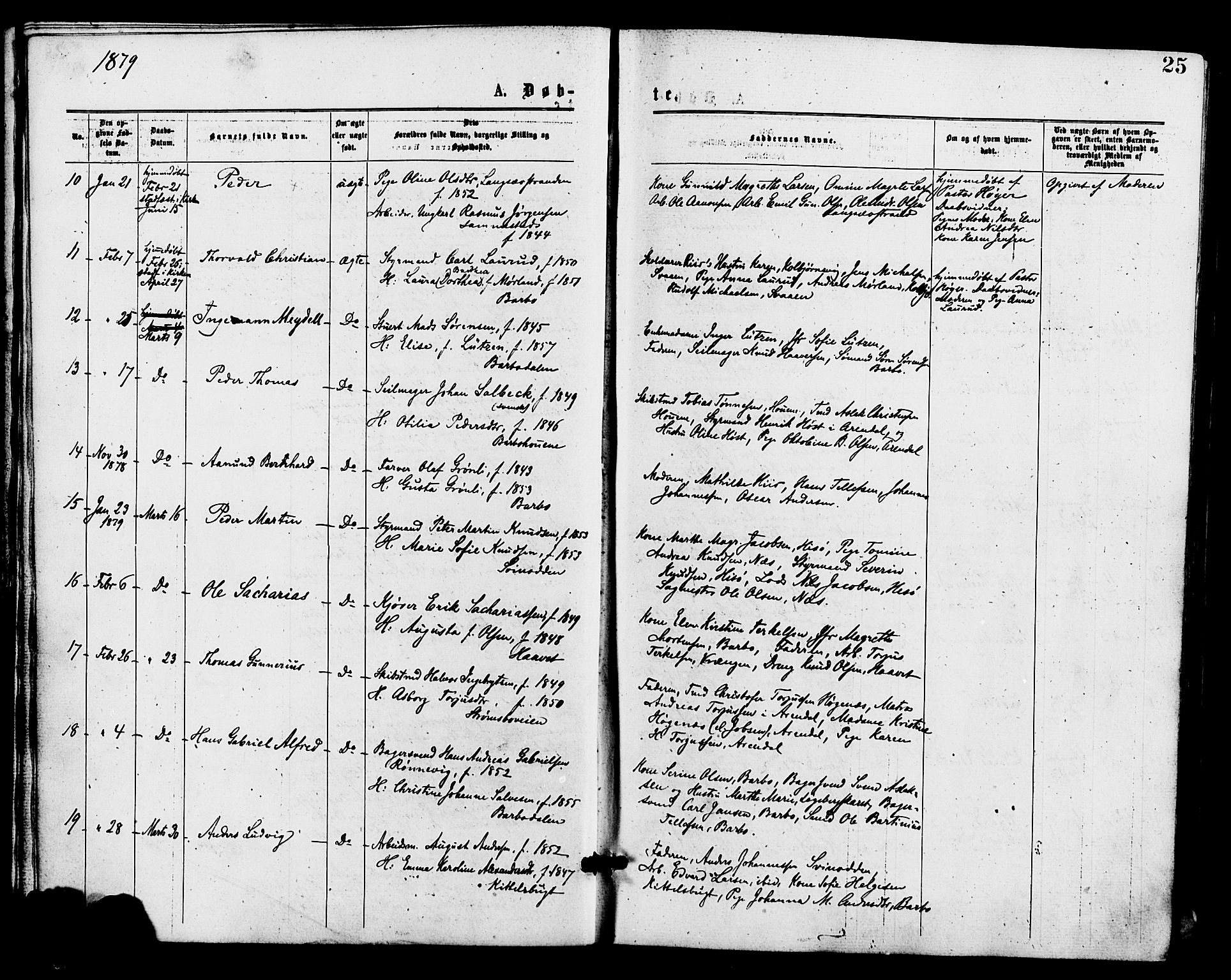 Barbu sokneprestkontor, AV/SAK-1111-0003/F/Fa/L0001: Ministerialbok nr. A 1 /1, 1878-1883, s. 25