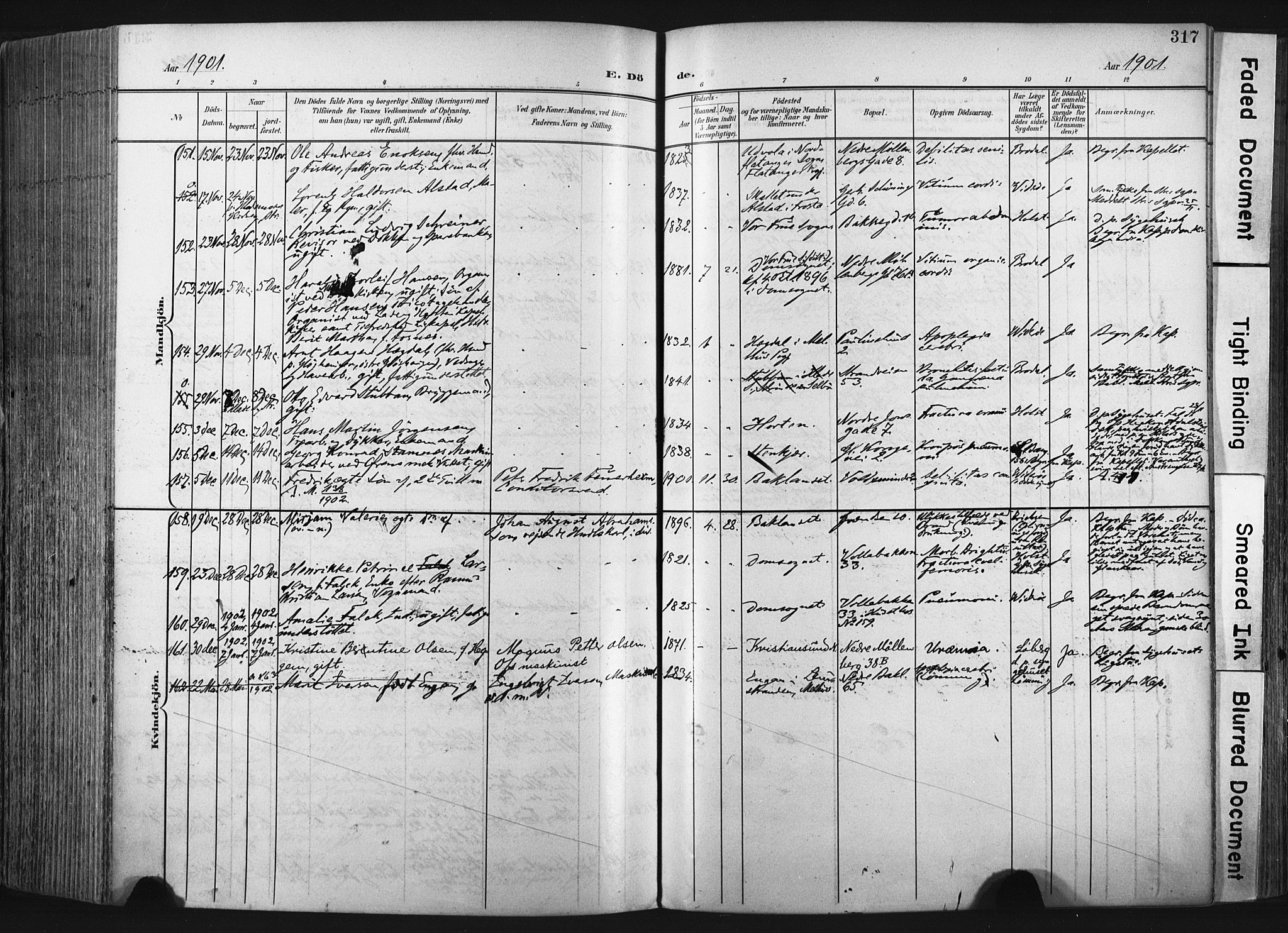 Ministerialprotokoller, klokkerbøker og fødselsregistre - Sør-Trøndelag, SAT/A-1456/604/L0201: Ministerialbok nr. 604A21, 1901-1911, s. 317