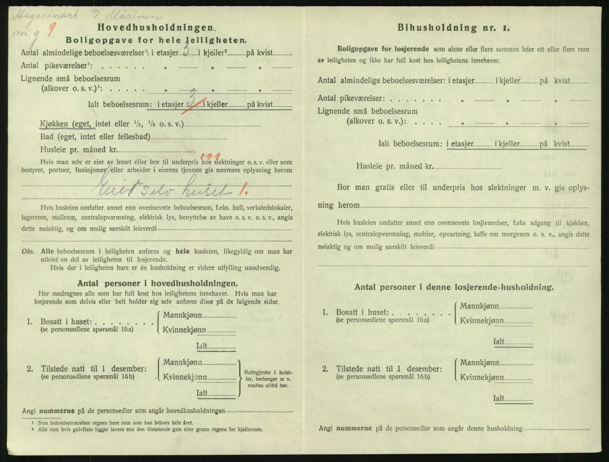 SAKO, Folketelling 1920 for 0703 Horten kjøpstad, 1920, s. 4226
