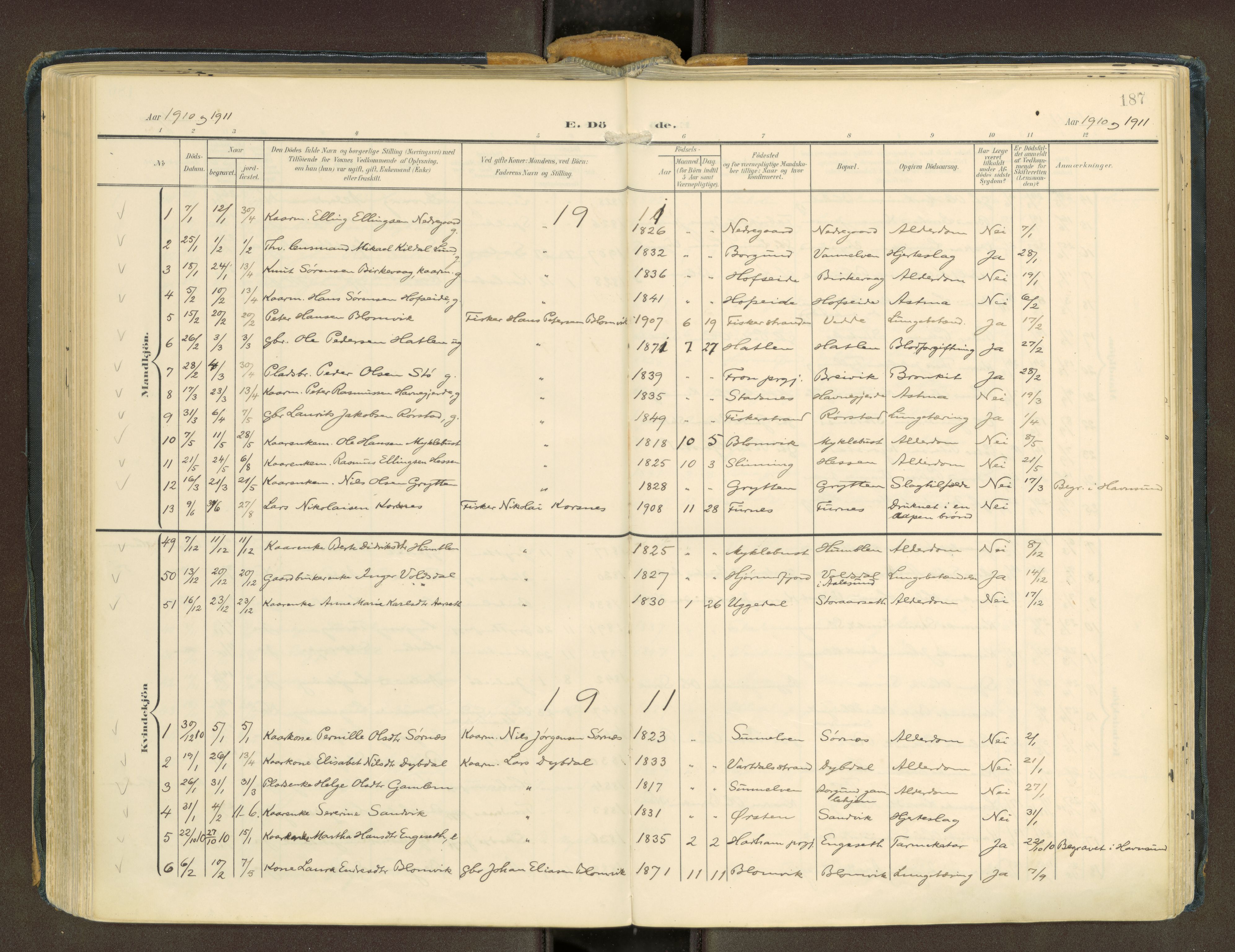 Ministerialprotokoller, klokkerbøker og fødselsregistre - Møre og Romsdal, AV/SAT-A-1454/528/L0451: Ministerialbok nr. 528A15, 1902-1943, s. 187