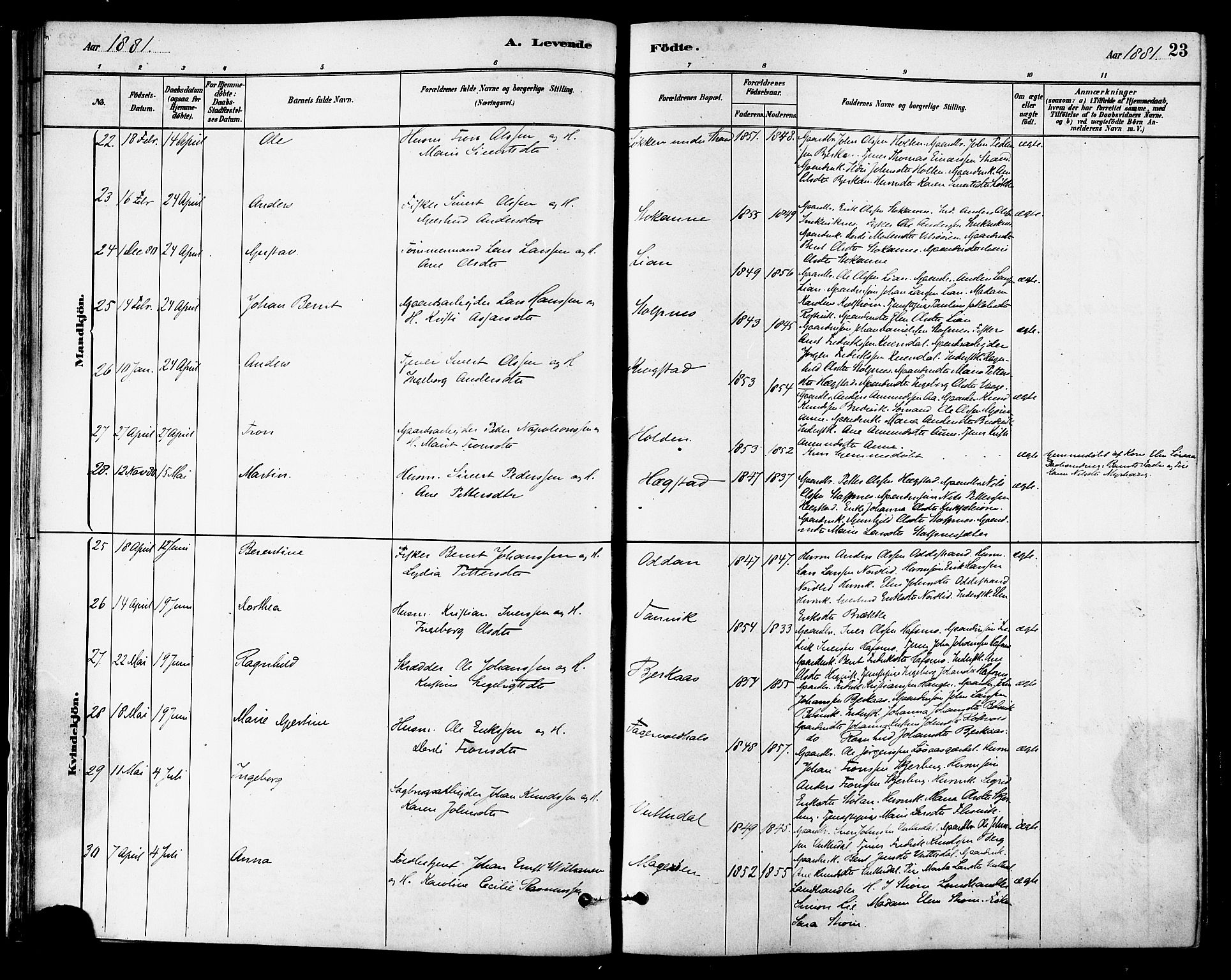 Ministerialprotokoller, klokkerbøker og fødselsregistre - Sør-Trøndelag, SAT/A-1456/630/L0496: Ministerialbok nr. 630A09, 1879-1895, s. 23