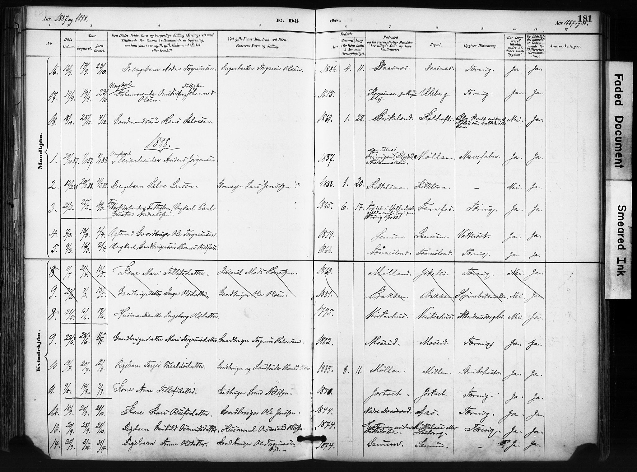 Evje sokneprestkontor, AV/SAK-1111-0008/F/Fa/Fab/L0003: Ministerialbok nr. A 3, 1884-1909, s. 181