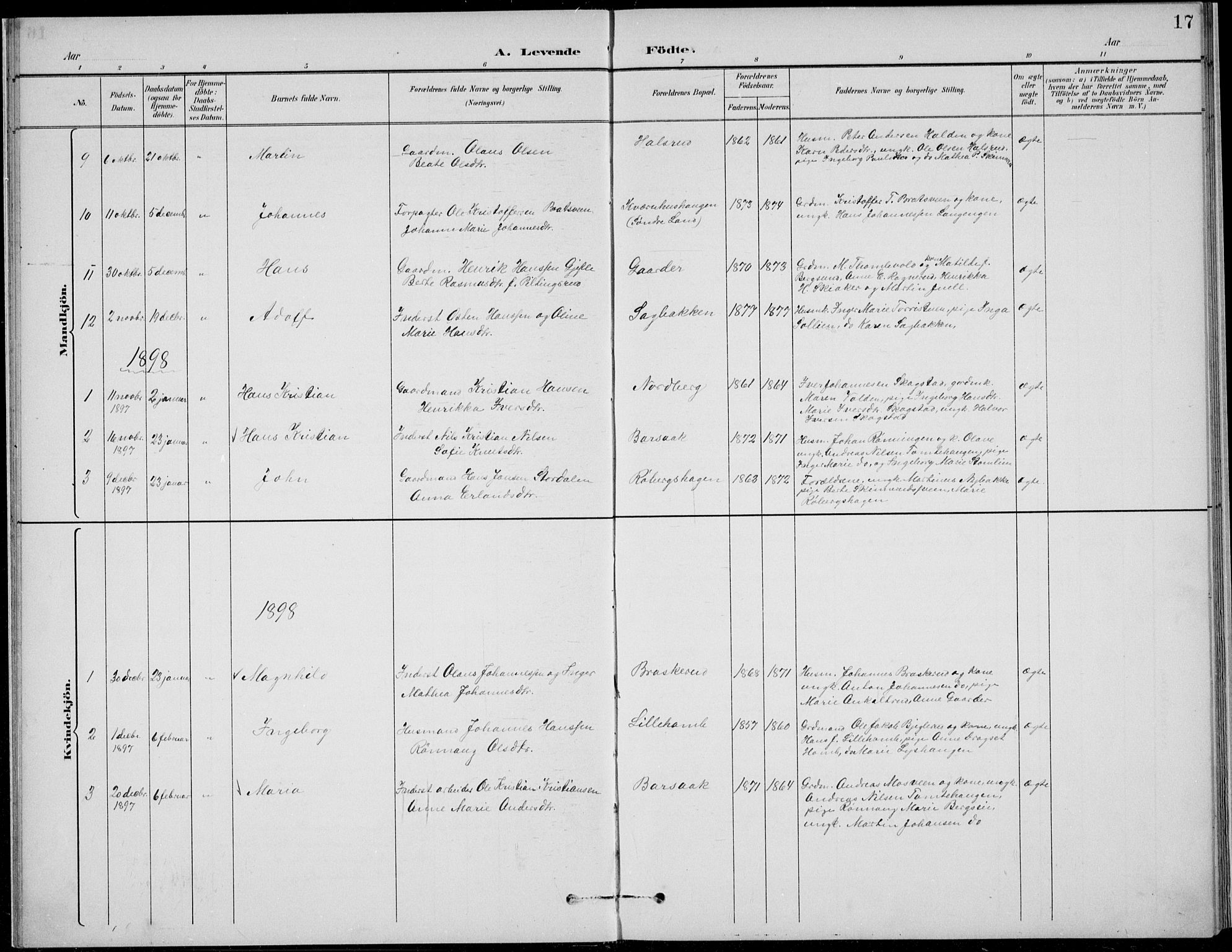 Nordre Land prestekontor, SAH/PREST-124/H/Ha/Hab/L0014: Klokkerbok nr. 14, 1891-1907, s. 17