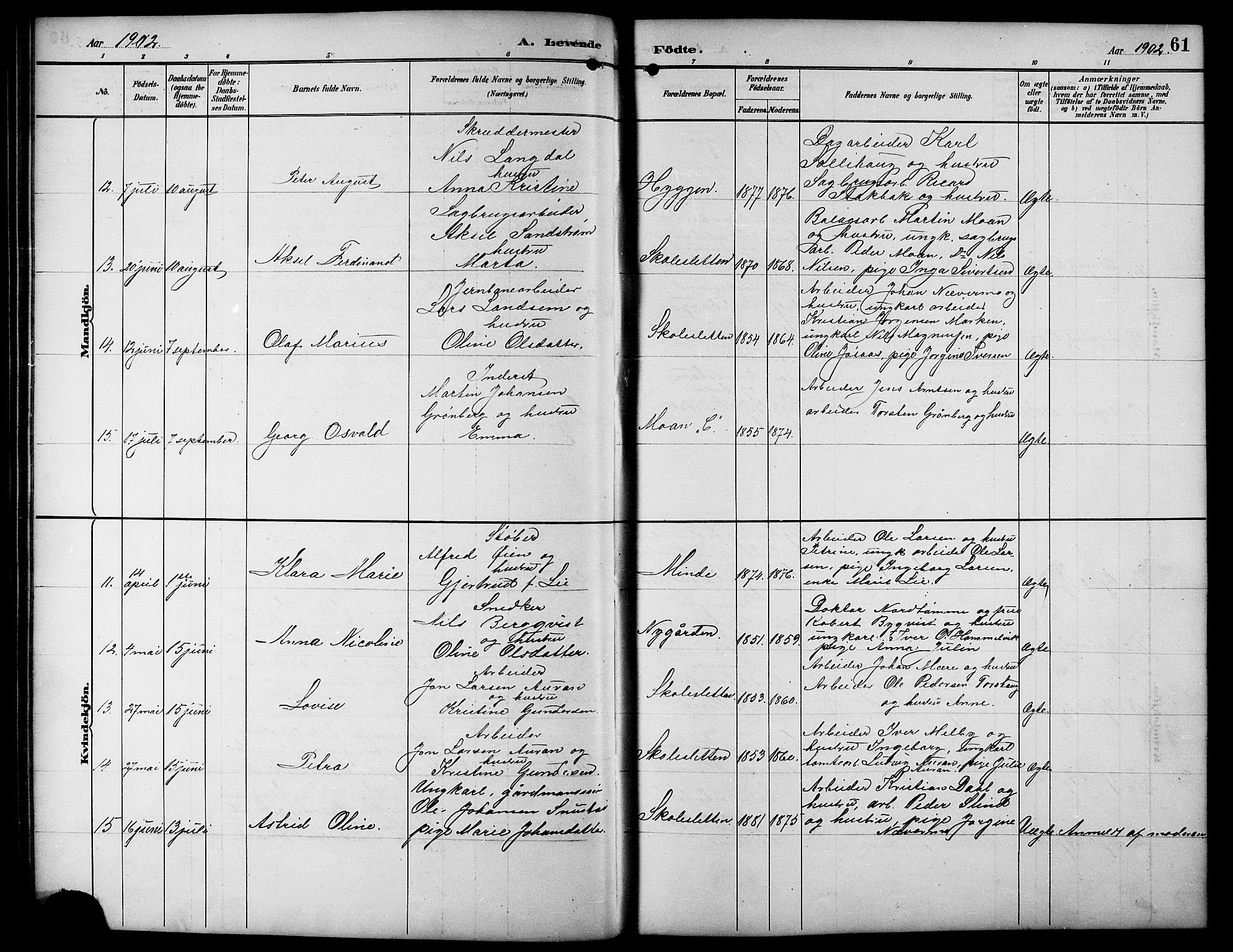Ministerialprotokoller, klokkerbøker og fødselsregistre - Sør-Trøndelag, SAT/A-1456/617/L0431: Klokkerbok nr. 617C01, 1889-1910, s. 61