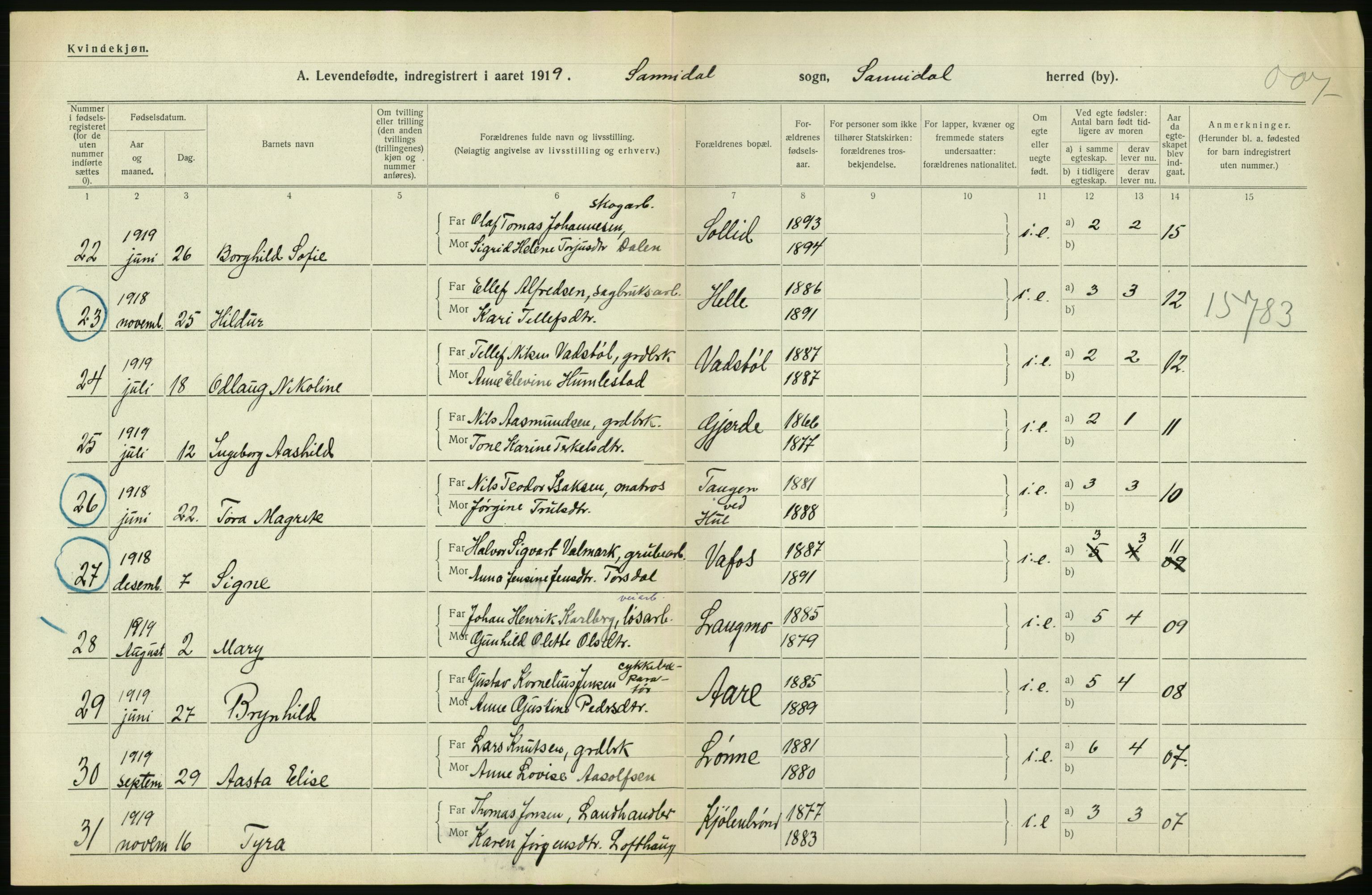 Statistisk sentralbyrå, Sosiodemografiske emner, Befolkning, AV/RA-S-2228/D/Df/Dfb/Dfbi/L0021: Telemark fylke: Levendefødte menn og kvinner. Bygder., 1919, s. 222