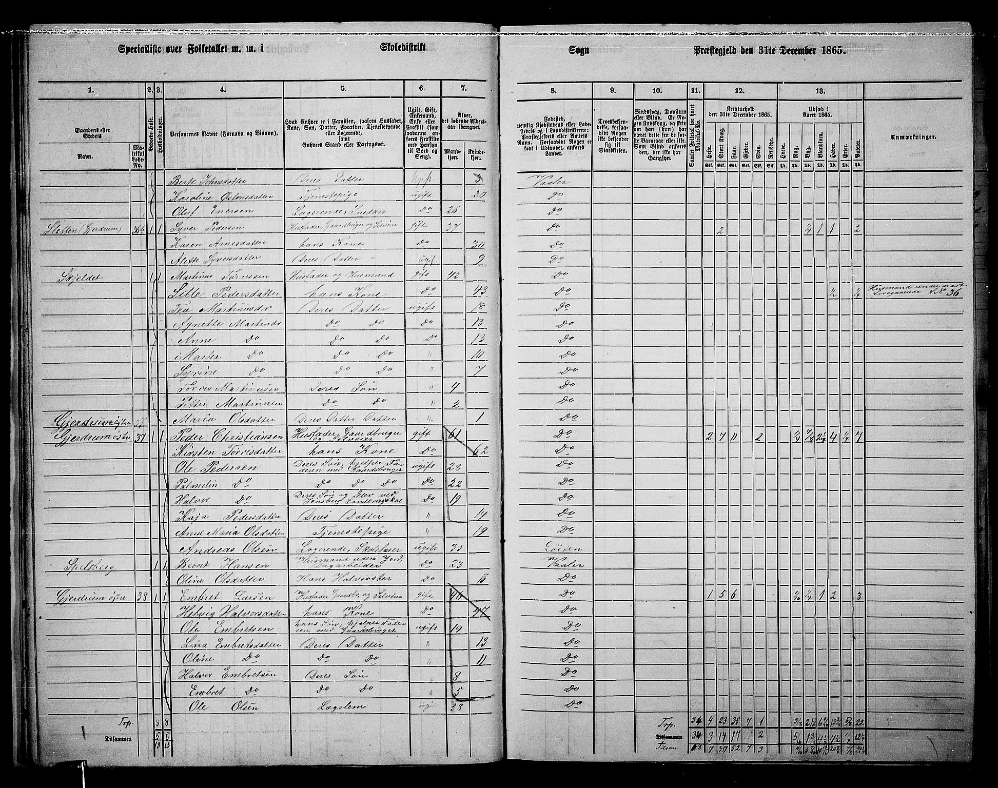 RA, Folketelling 1865 for 0426P Våler prestegjeld, 1865, s. 28
