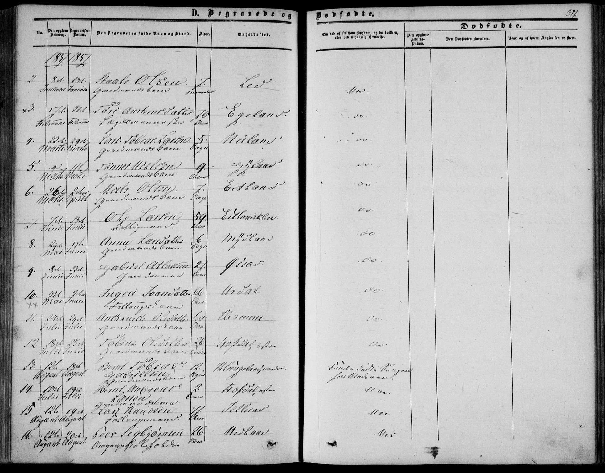 Bakke sokneprestkontor, AV/SAK-1111-0002/F/Fa/Fab/L0002: Ministerialbok nr. A 2, 1855-1884, s. 317