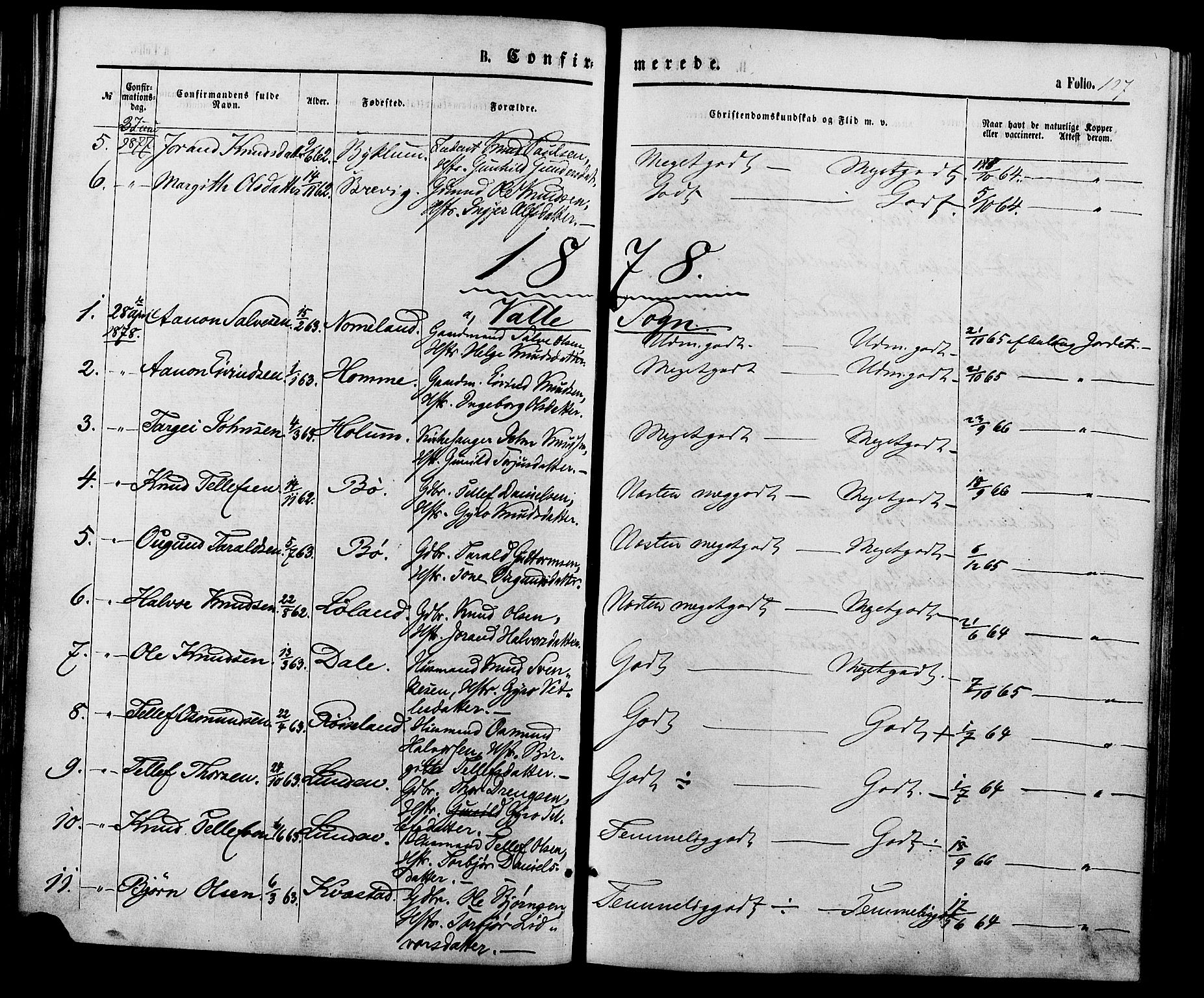 Valle sokneprestkontor, AV/SAK-1111-0044/F/Fa/Fac/L0008: Ministerialbok nr. A 8, 1868-1882, s. 127