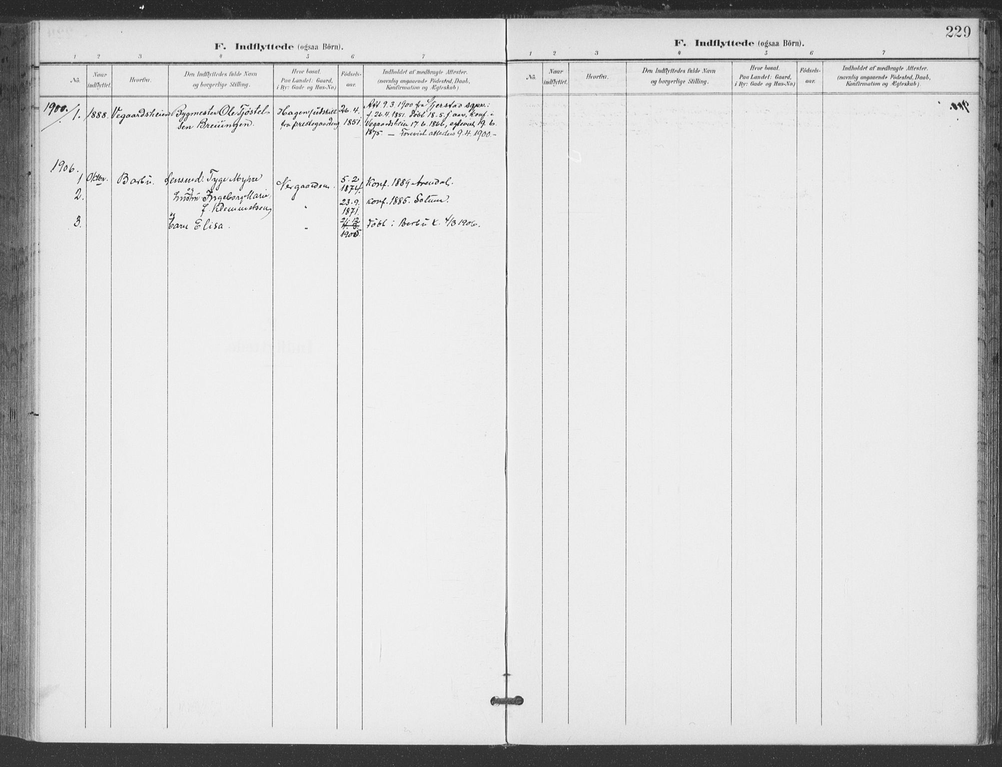 Åmli sokneprestkontor, SAK/1111-0050/F/Fa/Fac/L0012: Ministerialbok nr. A 12, 1900-1914, s. 229