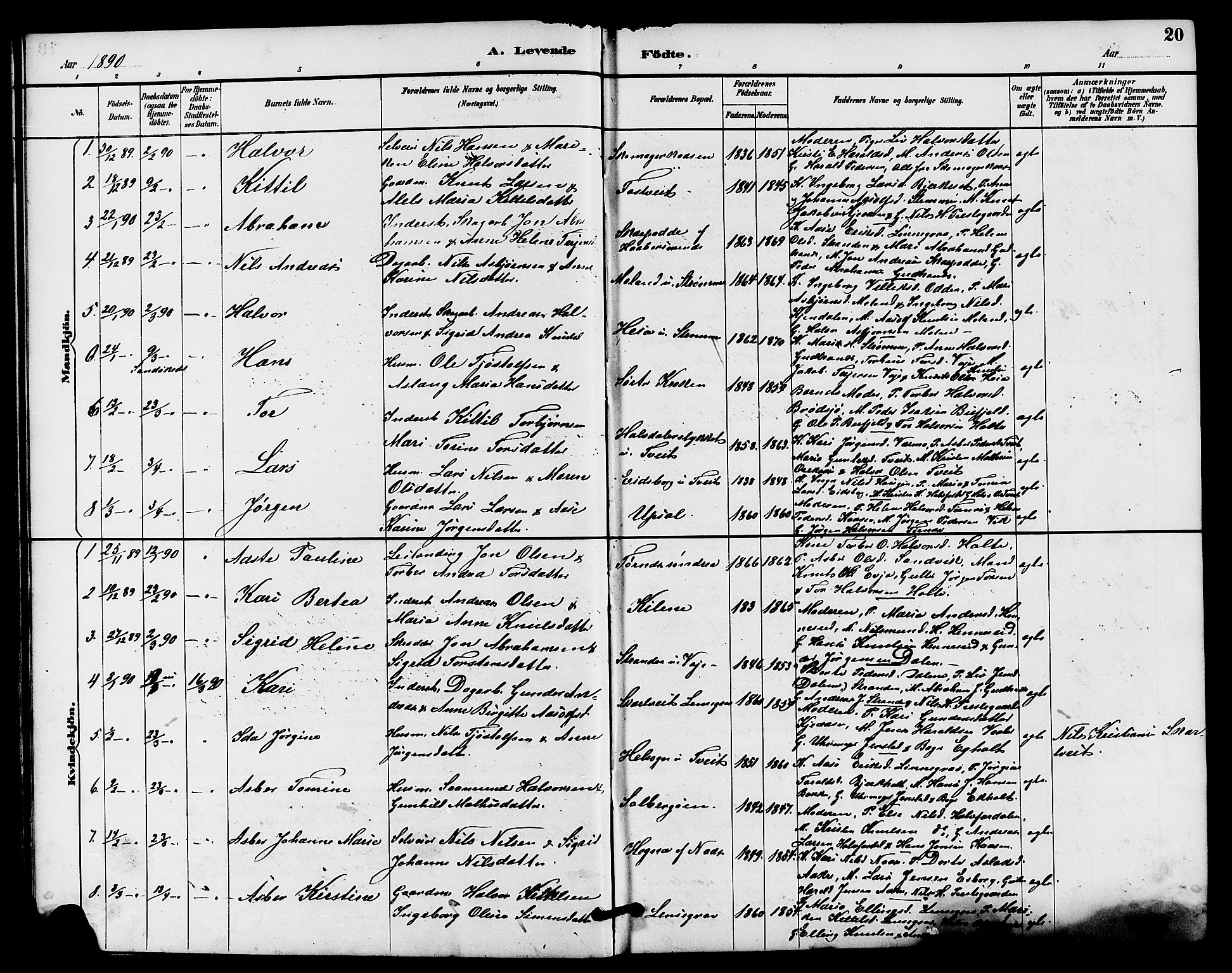 Drangedal kirkebøker, AV/SAKO-A-258/G/Ga/L0003: Klokkerbok nr. I 3, 1887-1906, s. 20