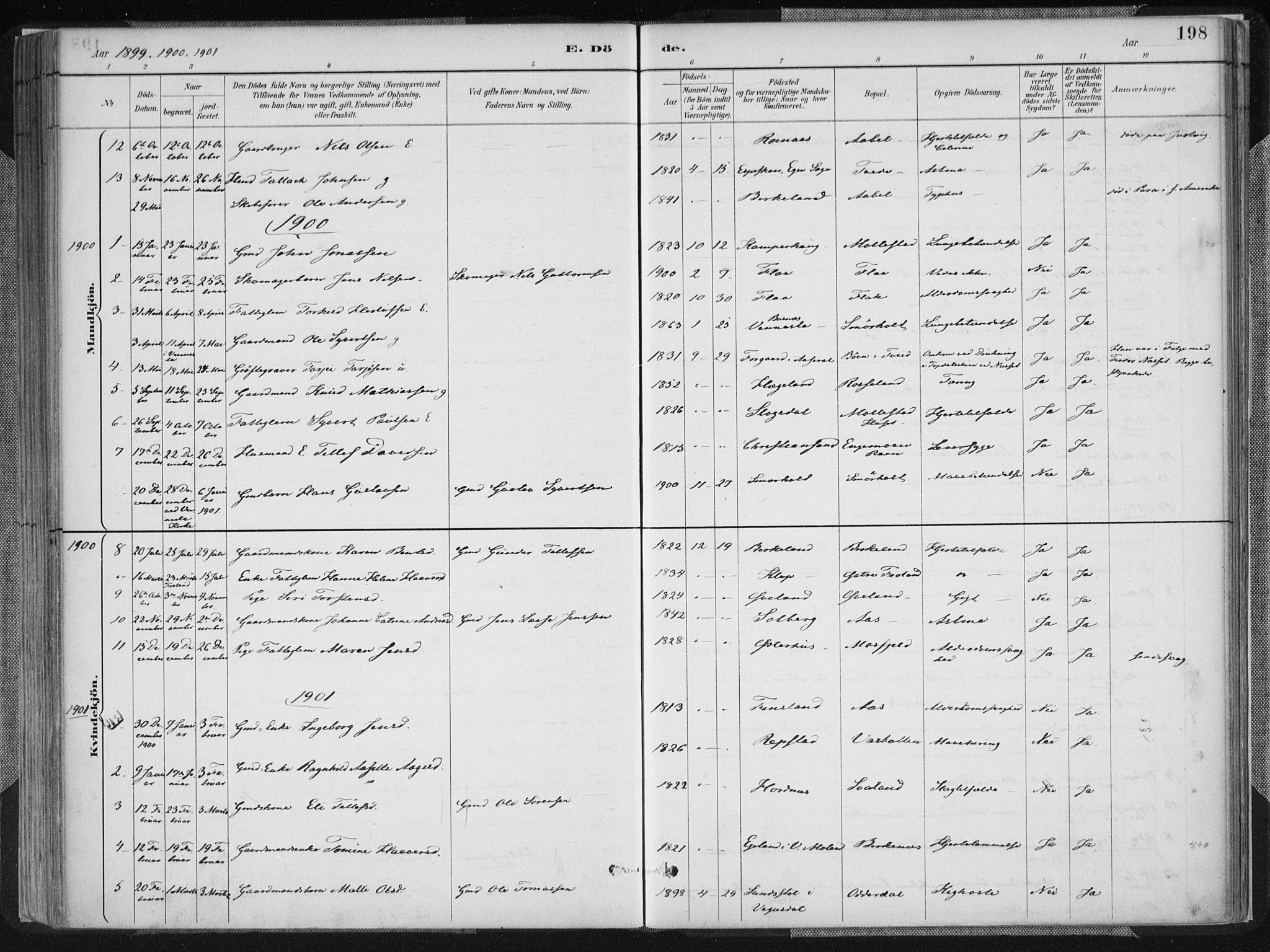 Birkenes sokneprestkontor, SAK/1111-0004/F/Fa/L0005: Ministerialbok nr. A 5, 1887-1907, s. 198