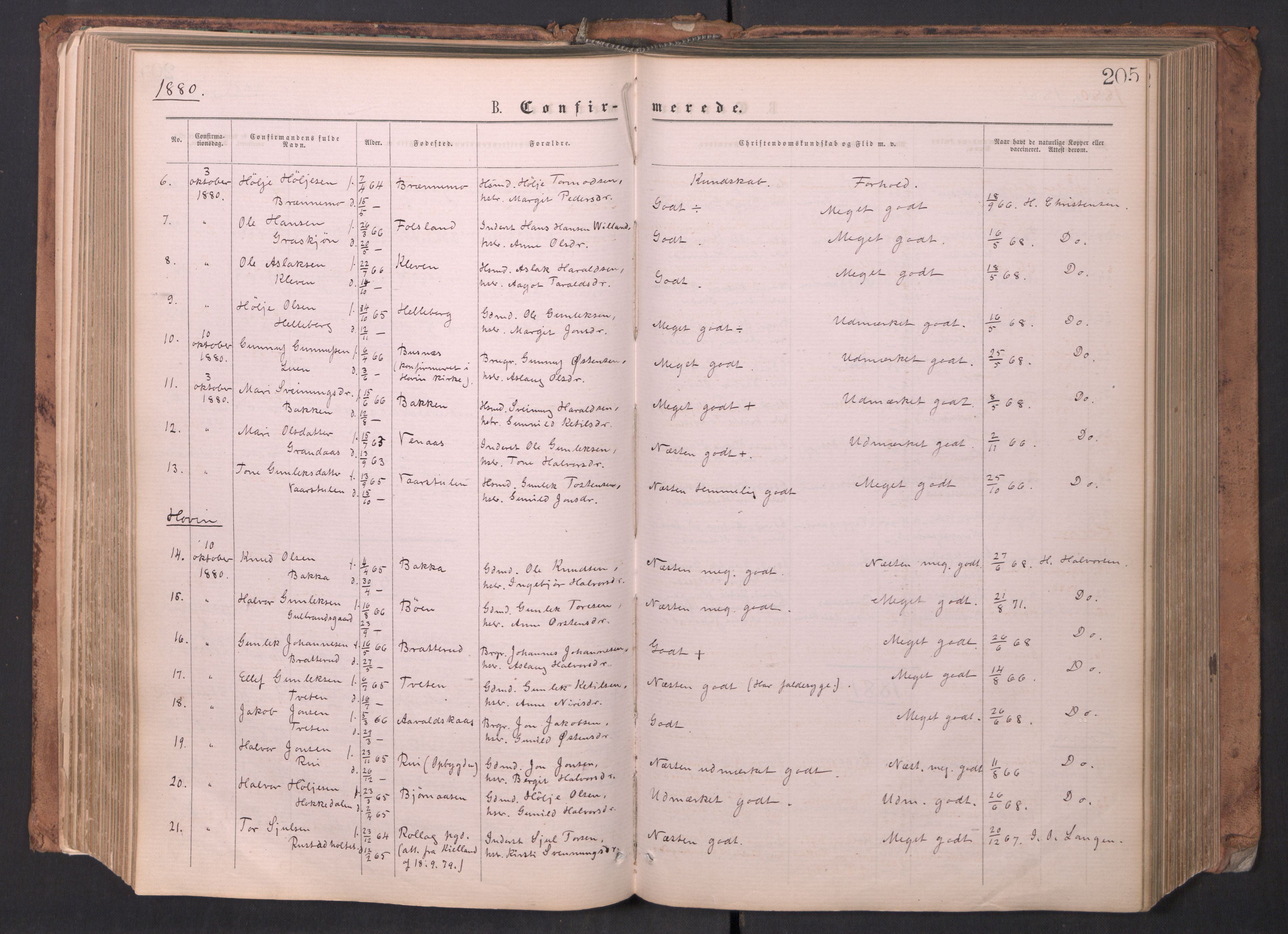 Gransherad kirkebøker, SAKO/A-267/F/Fa/L0004: Ministerialbok nr. I 4, 1871-1886, s. 205