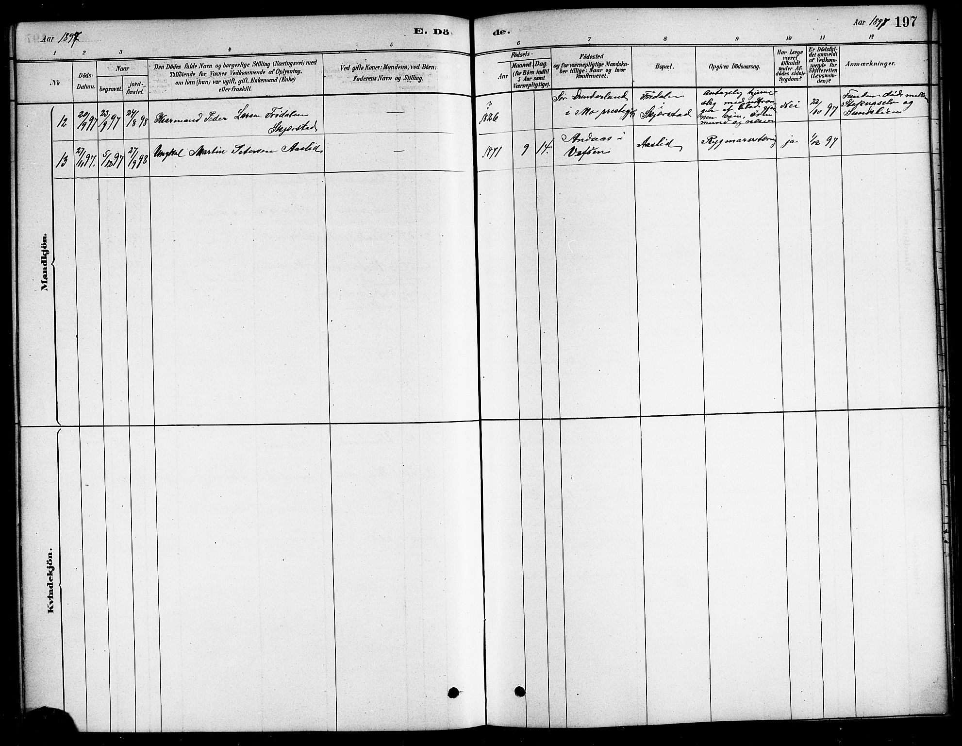 Ministerialprotokoller, klokkerbøker og fødselsregistre - Nordland, AV/SAT-A-1459/823/L0330: Klokkerbok nr. 823C02, 1879-1916, s. 197