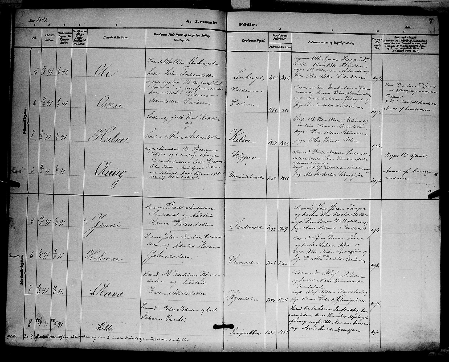 Åsnes prestekontor, AV/SAH-PREST-042/H/Ha/Hab/L0003: Klokkerbok nr. 3, 1890-1902, s. 7
