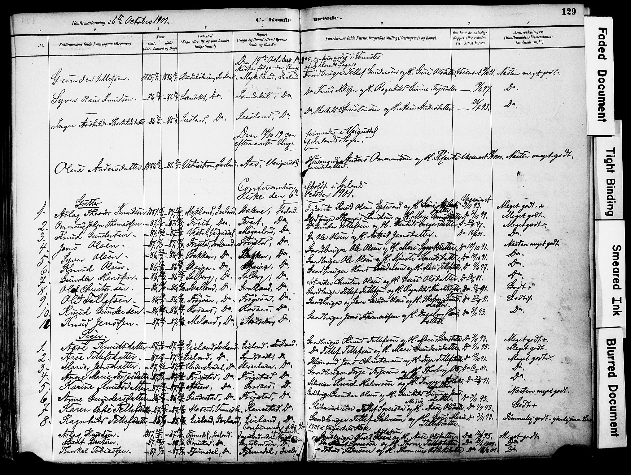 Evje sokneprestkontor, AV/SAK-1111-0008/F/Fa/Fac/L0003: Ministerialbok nr. A 3, 1884-1909, s. 129