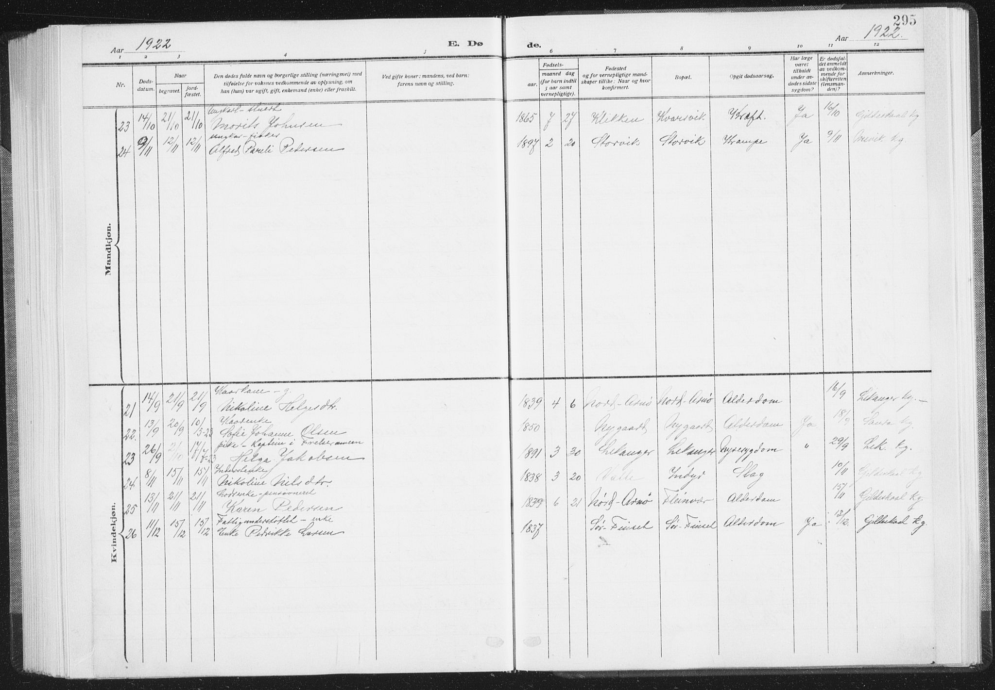 Ministerialprotokoller, klokkerbøker og fødselsregistre - Nordland, AV/SAT-A-1459/805/L0104: Ministerialbok nr. 805A09, 1909-1926, s. 295