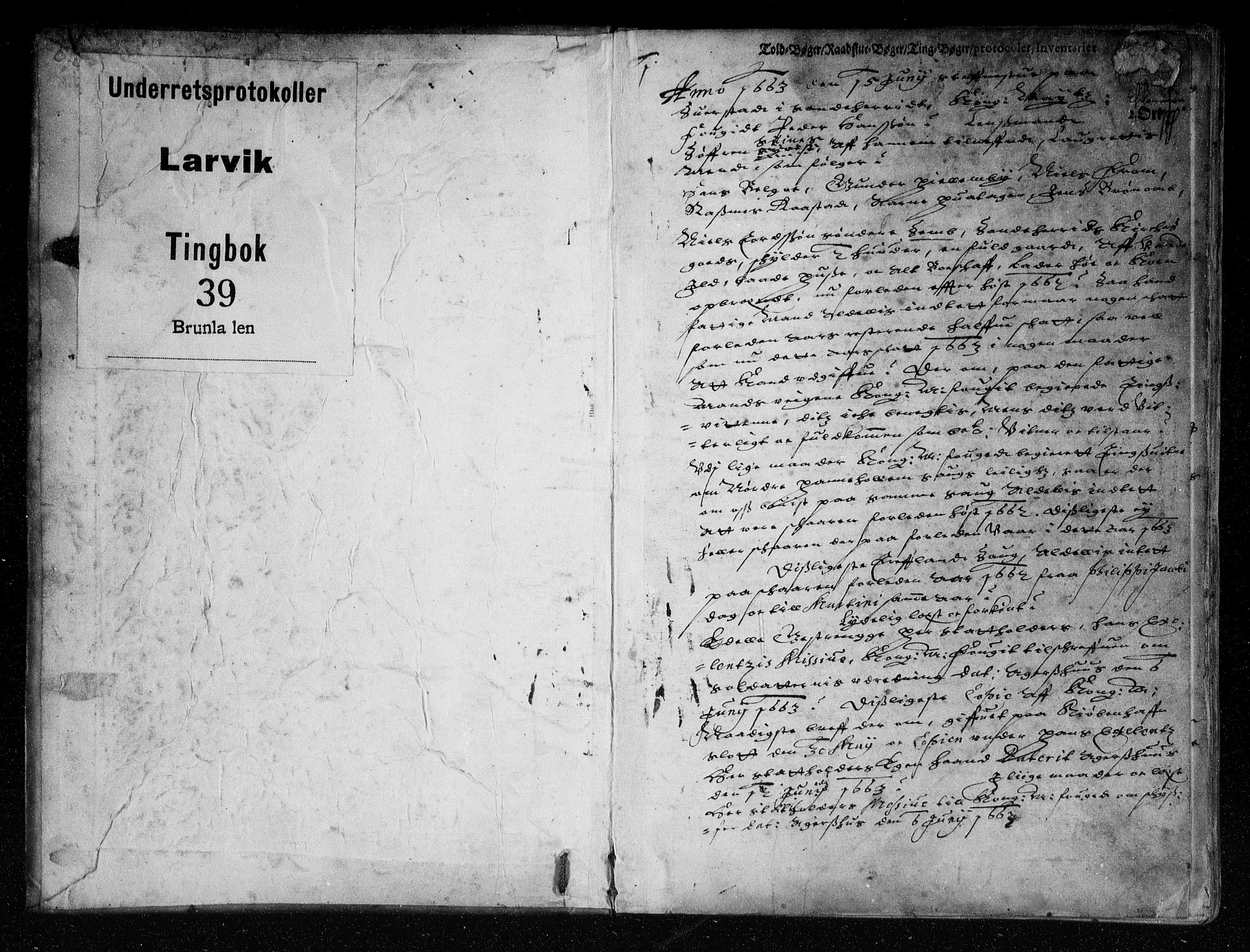 Larvik sorenskriveri, SAKO/A-83/F/Fa/L0001a: Tingbok, 1663-1664