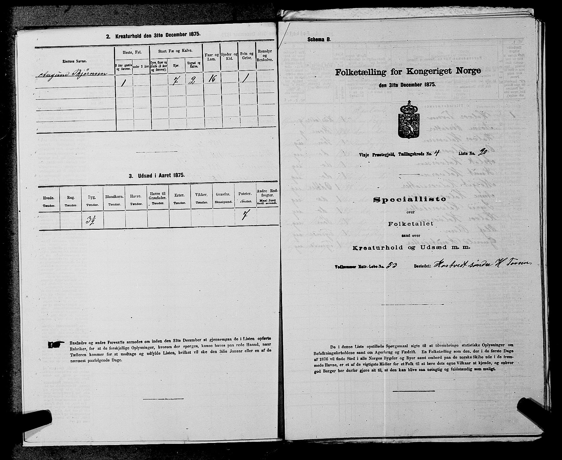 SAKO, Folketelling 1875 for 0834P Vinje prestegjeld, 1875, s. 307