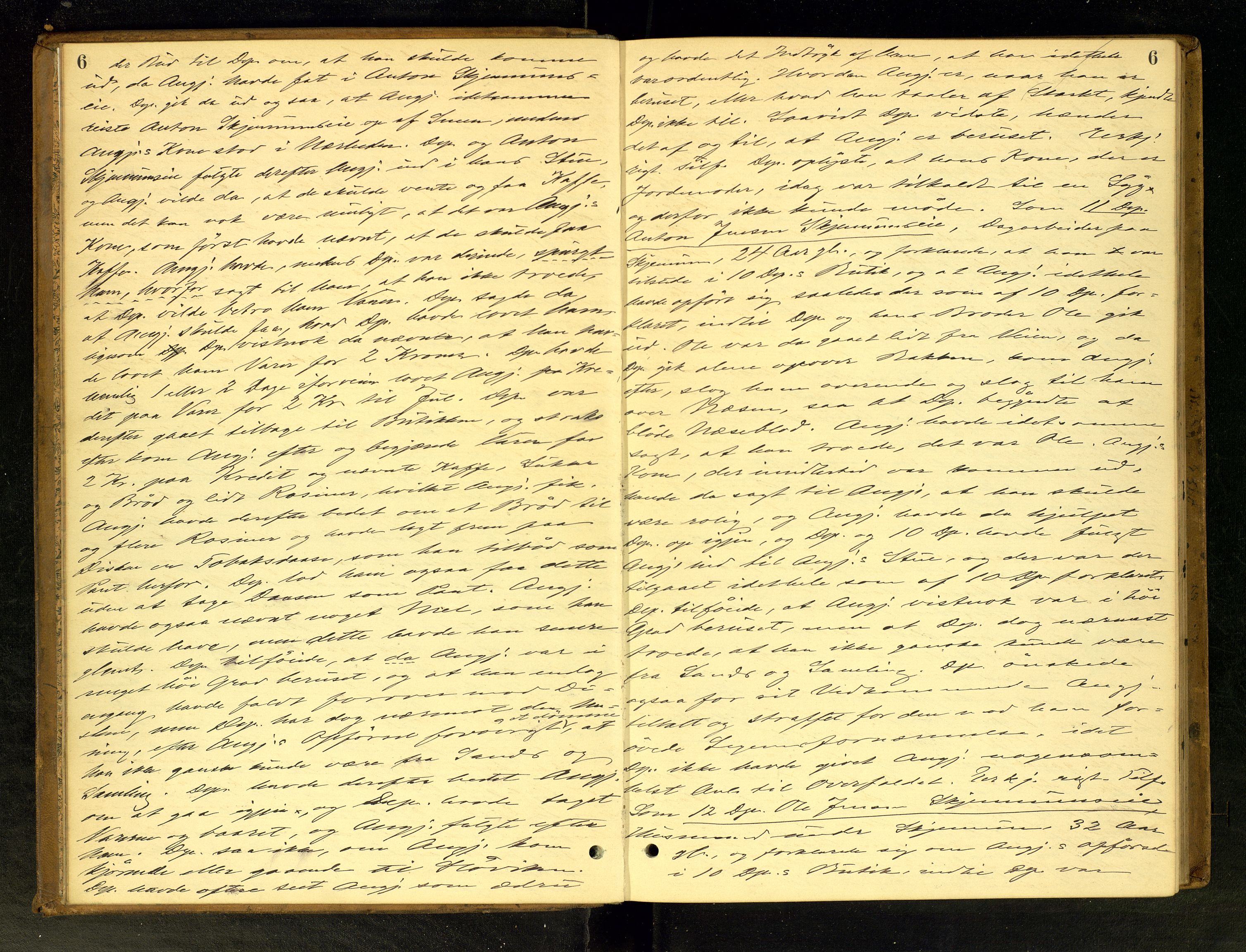 Hadeland og Land tingrett, AV/SAH-TING-010/G/Gc/L0022: Ekstrarettsprotokoll, 1885-1886, s. 6
