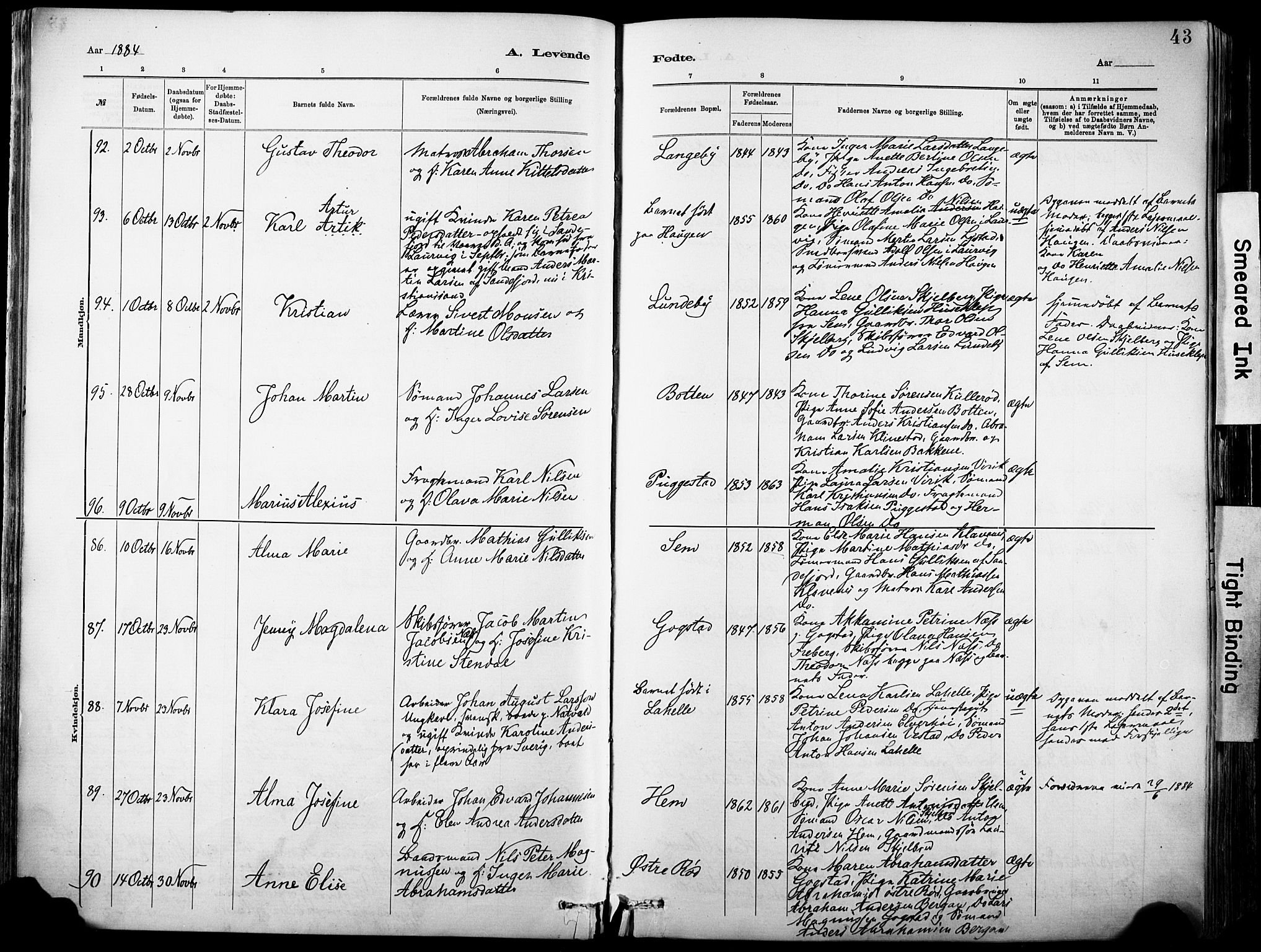 Sandar kirkebøker, AV/SAKO-A-243/F/Fa/L0012: Ministerialbok nr. 12, 1883-1895, s. 43