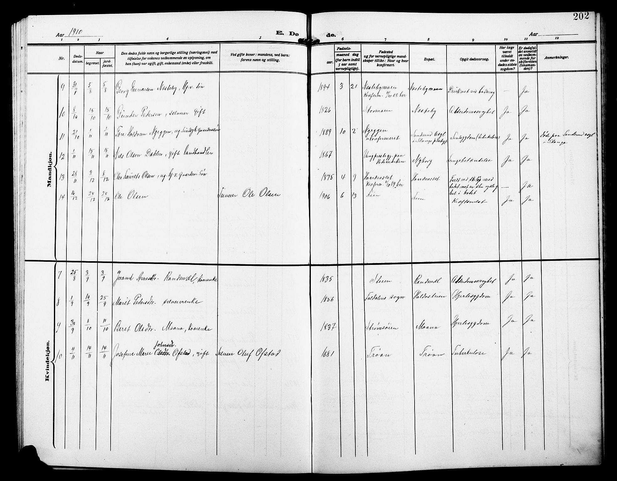 Alvdal prestekontor, SAH/PREST-060/H/Ha/Hab/L0005: Klokkerbok nr. 5, 1908-1923, s. 202