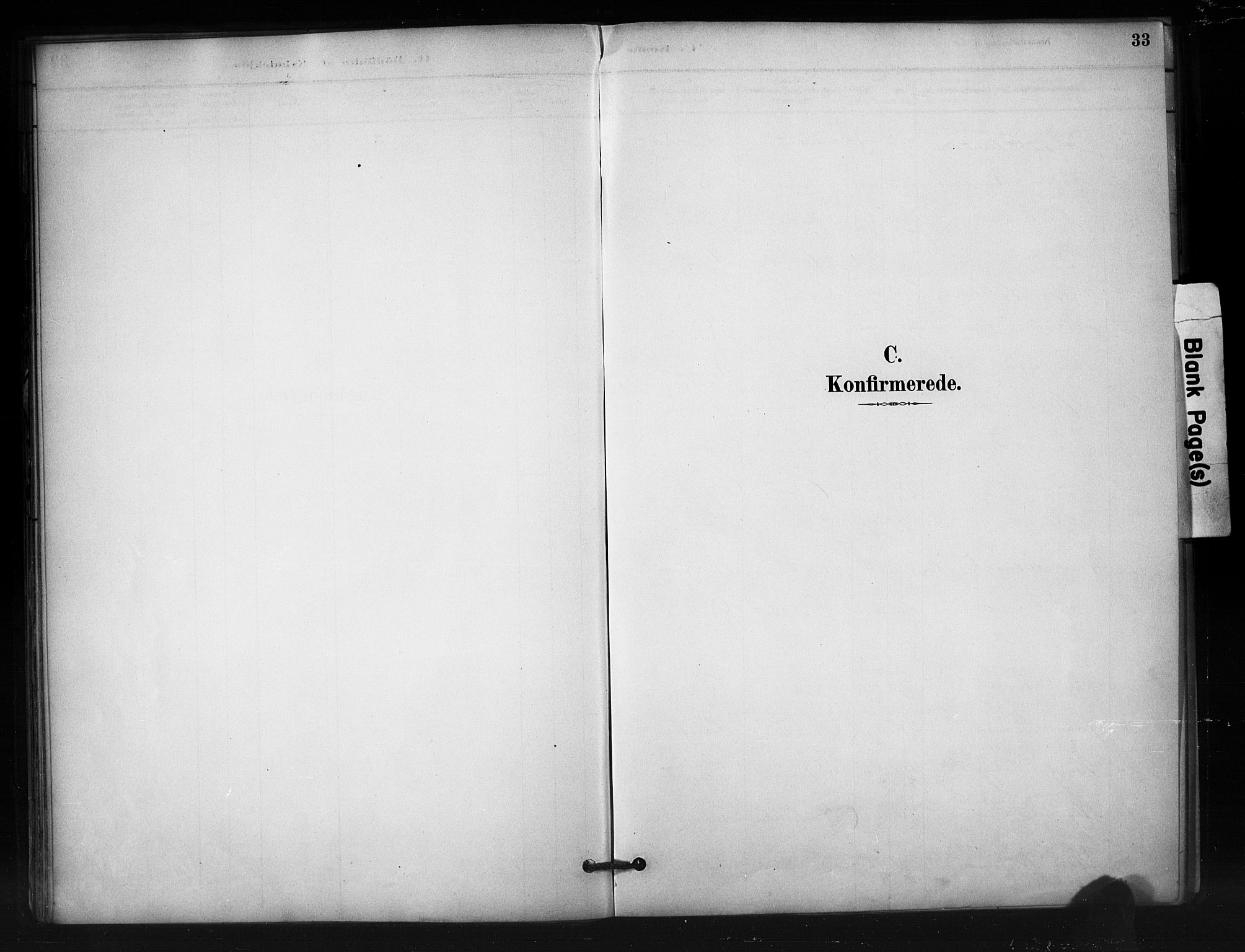 Nord-Aurdal prestekontor, AV/SAH-PREST-132/H/Ha/Haa/L0012: Ministerialbok nr. 12, 1883-1895, s. 33