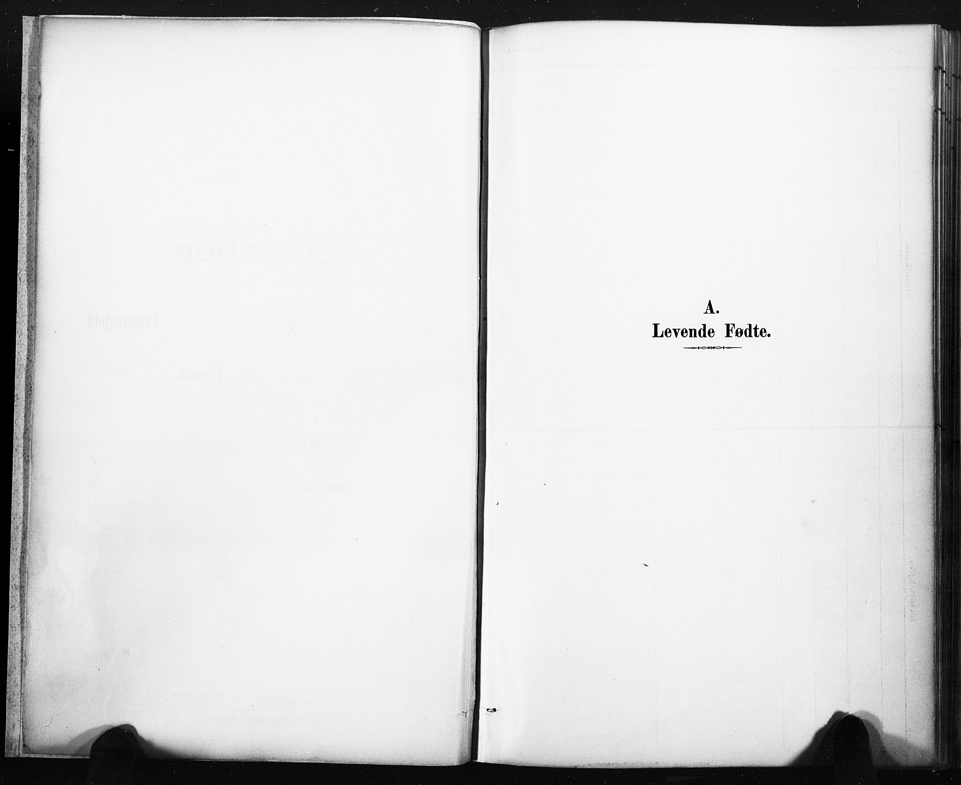 Lårdal kirkebøker, SAKO/A-284/F/Fb/L0002: Ministerialbok nr. II 2, 1887-1918