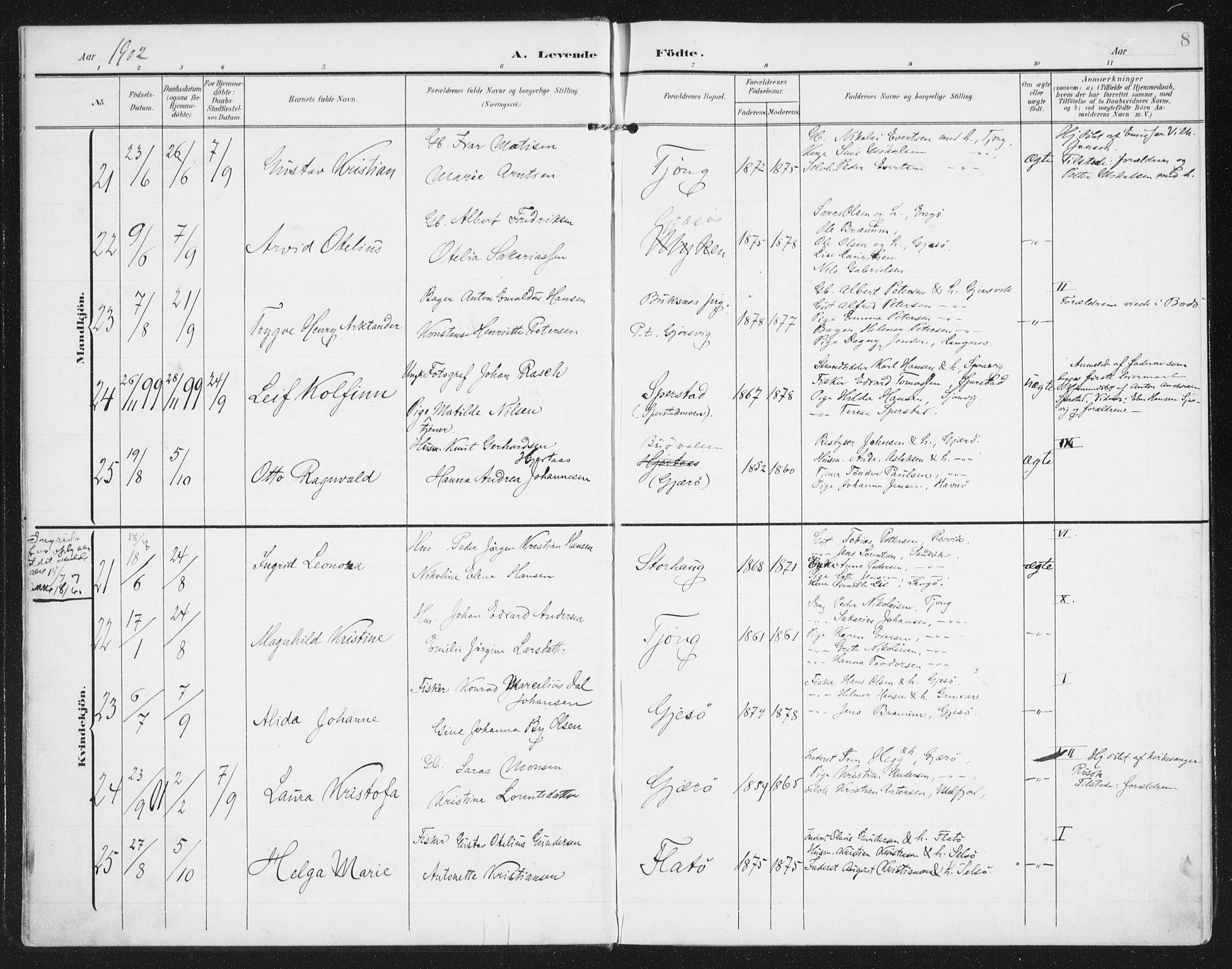 Ministerialprotokoller, klokkerbøker og fødselsregistre - Nordland, AV/SAT-A-1459/841/L0612: Ministerialbok nr. 841A15, 1902-1910, s. 8