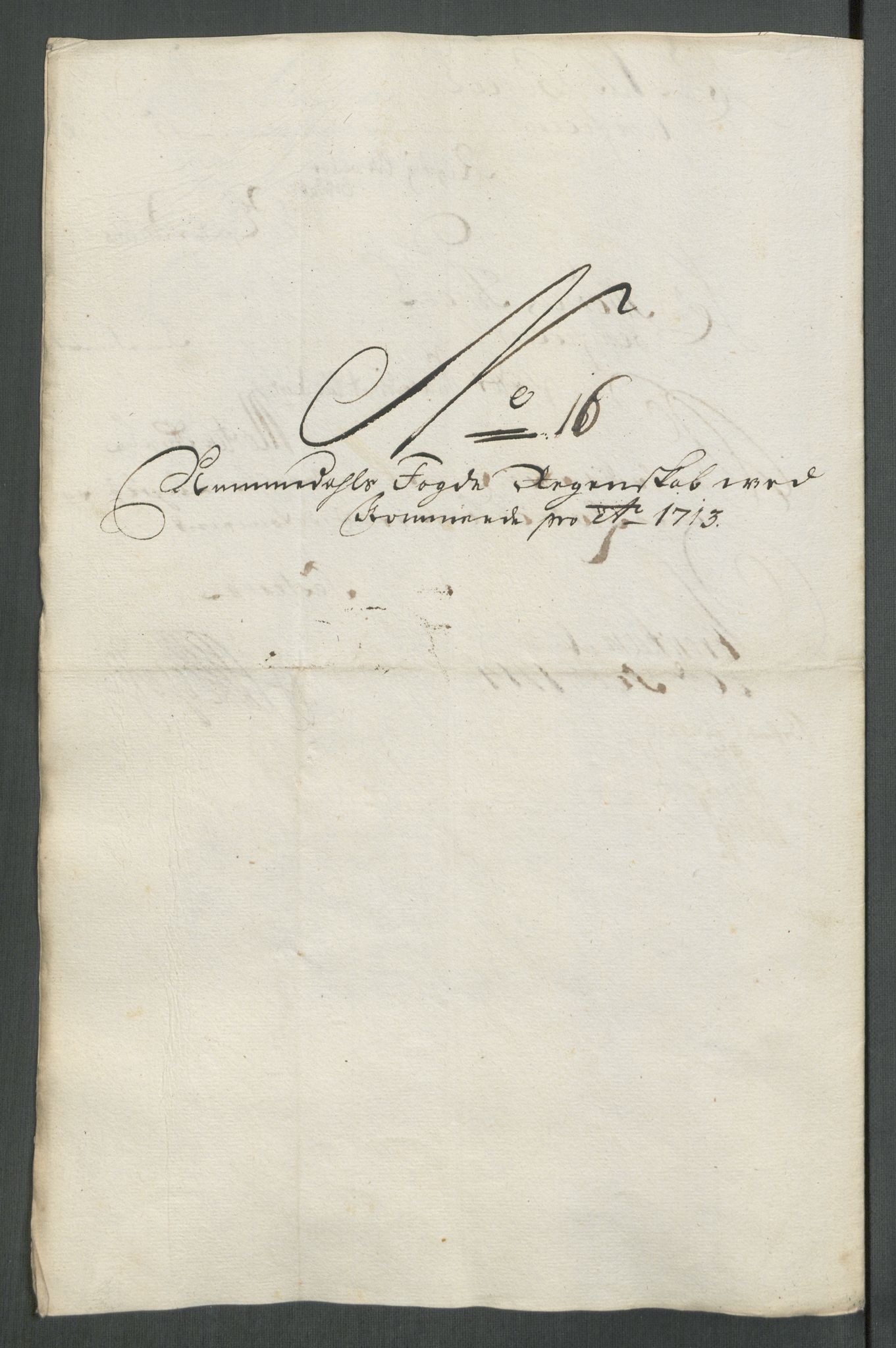 Rentekammeret inntil 1814, Reviderte regnskaper, Fogderegnskap, AV/RA-EA-4092/R64/L4434: Fogderegnskap Namdal, 1713, s. 164