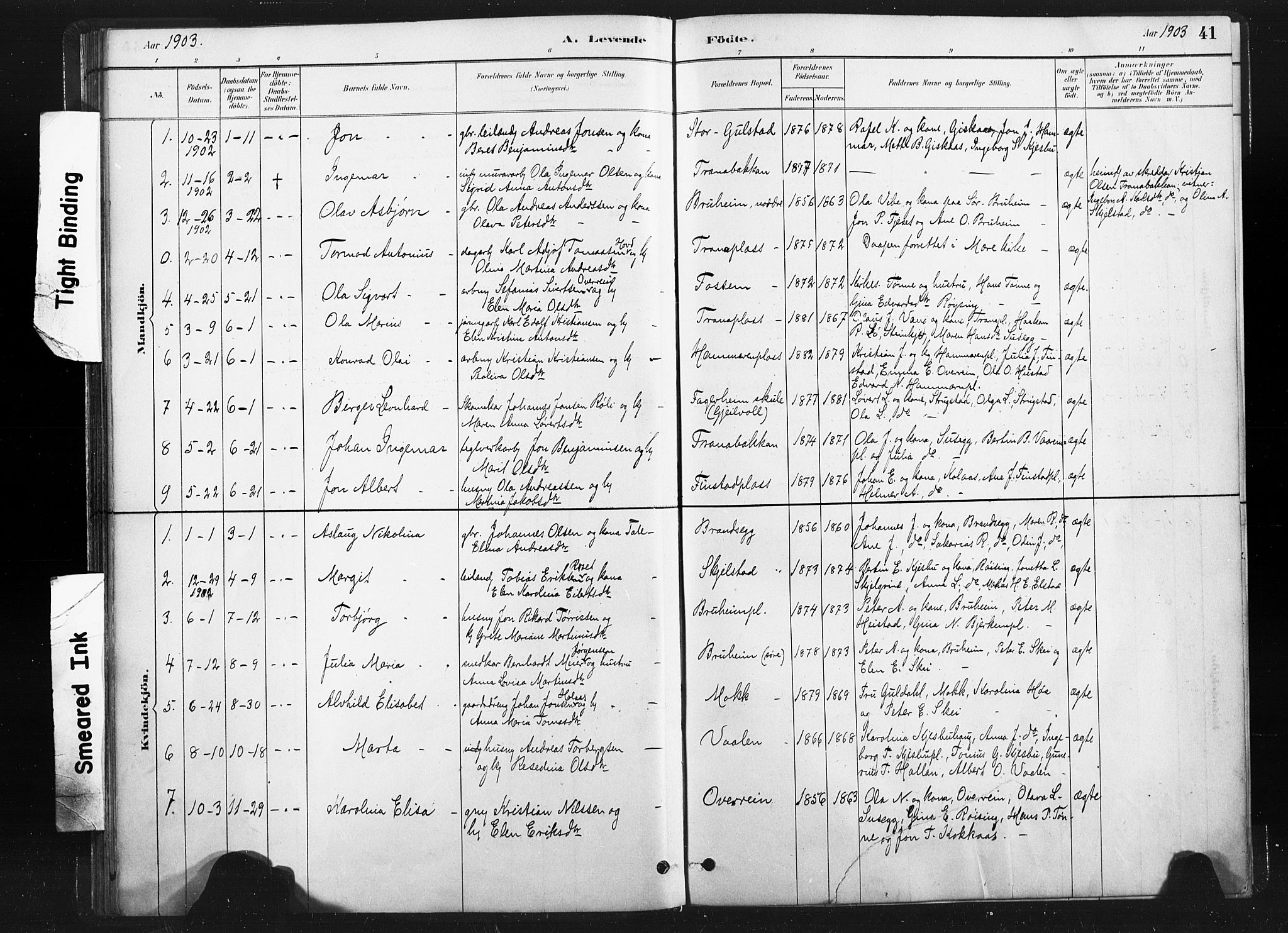 Ministerialprotokoller, klokkerbøker og fødselsregistre - Nord-Trøndelag, AV/SAT-A-1458/736/L0361: Ministerialbok nr. 736A01, 1884-1906, s. 41