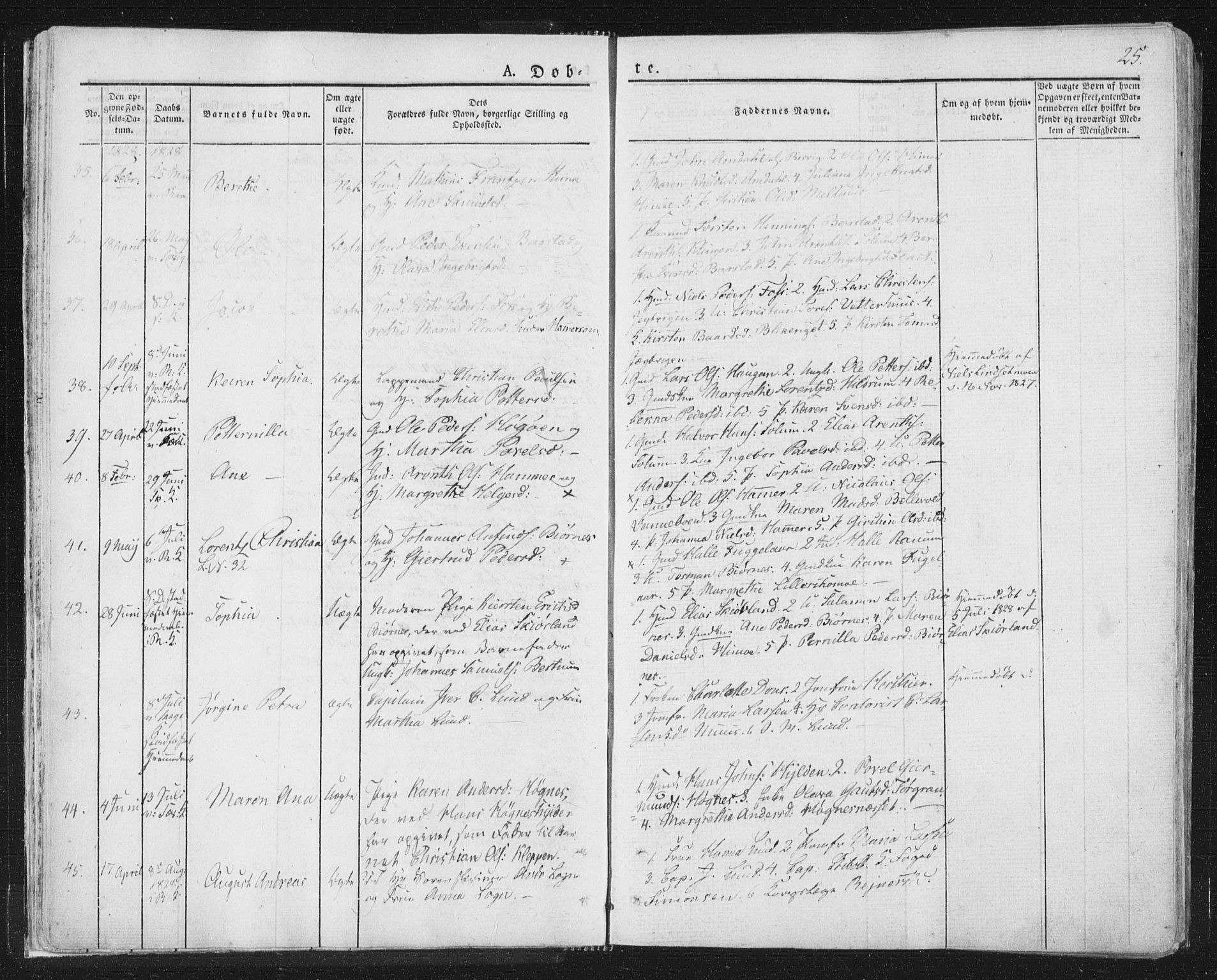 Ministerialprotokoller, klokkerbøker og fødselsregistre - Nord-Trøndelag, SAT/A-1458/764/L0551: Ministerialbok nr. 764A07a, 1824-1864, s. 25