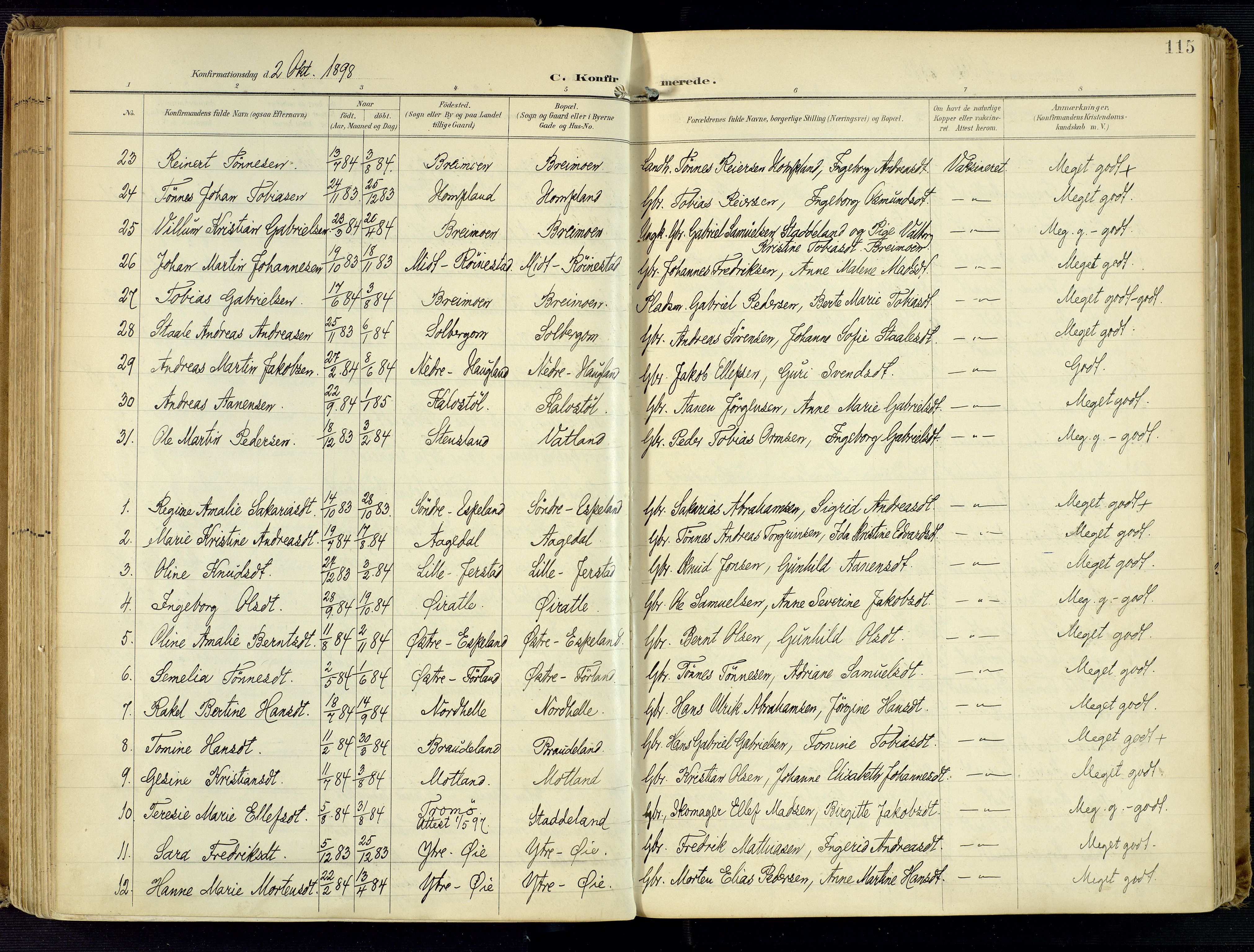 Kvinesdal sokneprestkontor, SAK/1111-0026/F/Fa/Fab/L0009: Ministerialbok nr. A 9, 1898-1915, s. 115