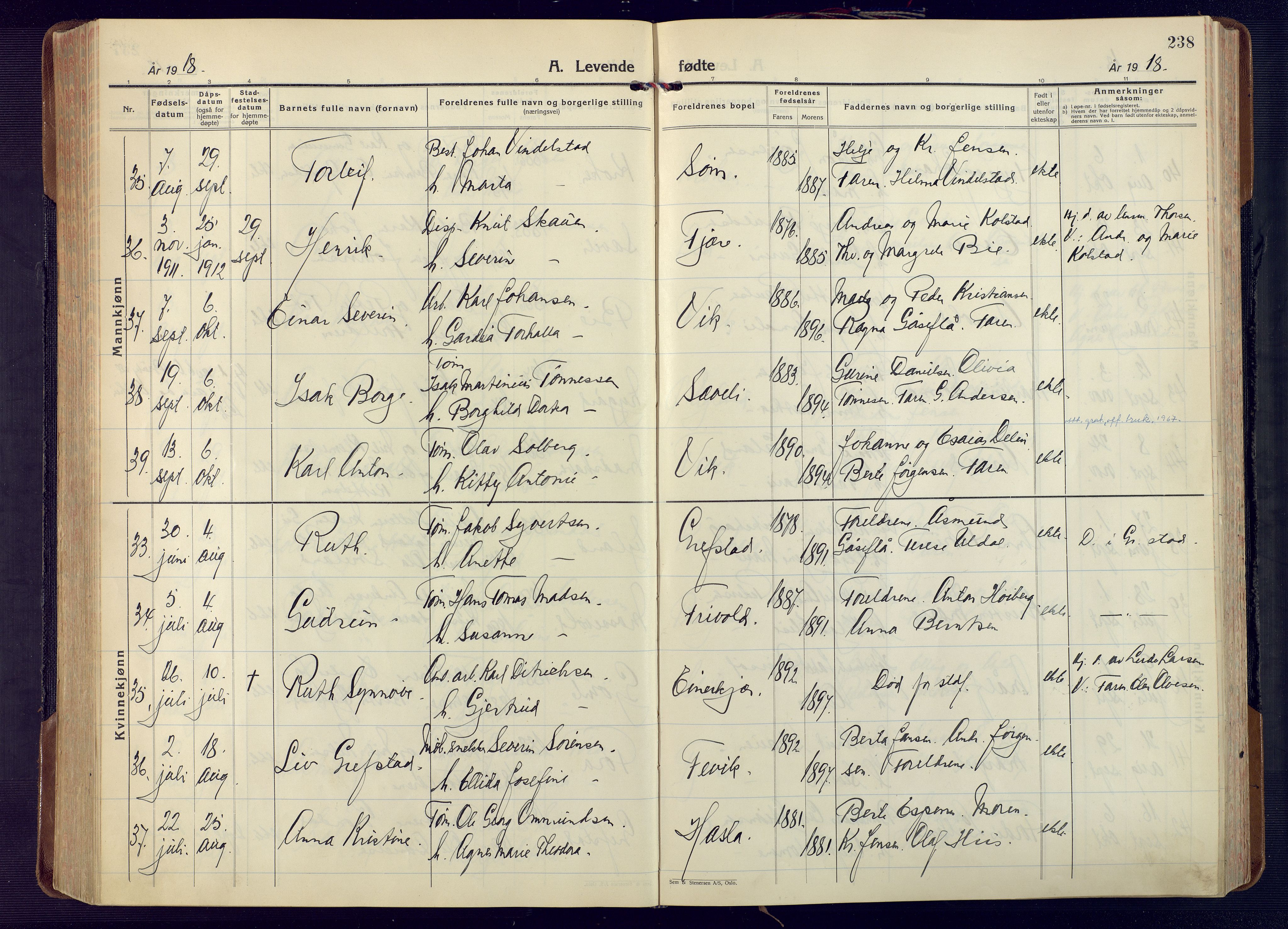 Fjære sokneprestkontor, AV/SAK-1111-0011/F/Fa/L0004: Ministerialbok nr. A 4, 1902-1925, s. 238