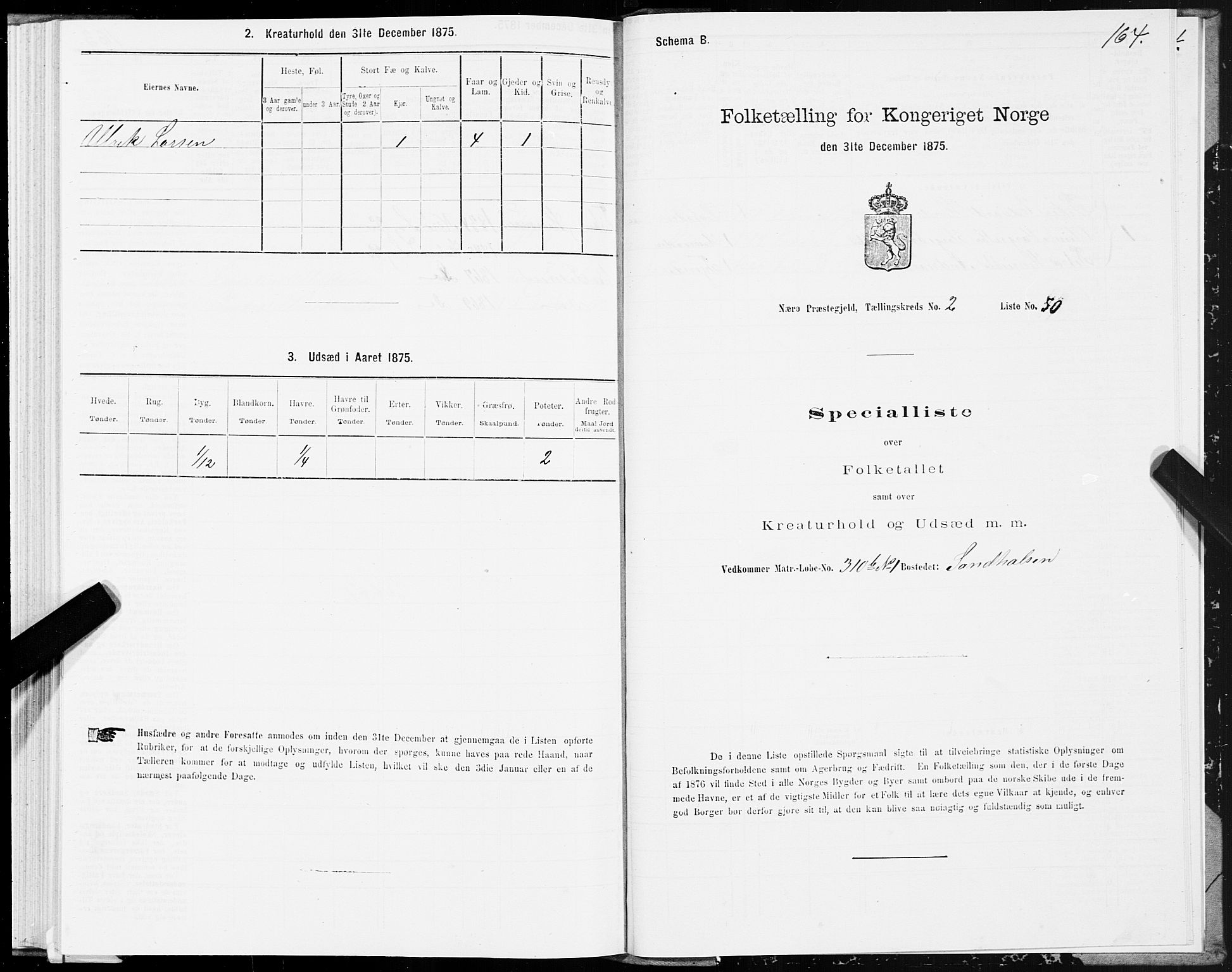 SAT, Folketelling 1875 for 1751P Nærøy prestegjeld, 1875, s. 1164