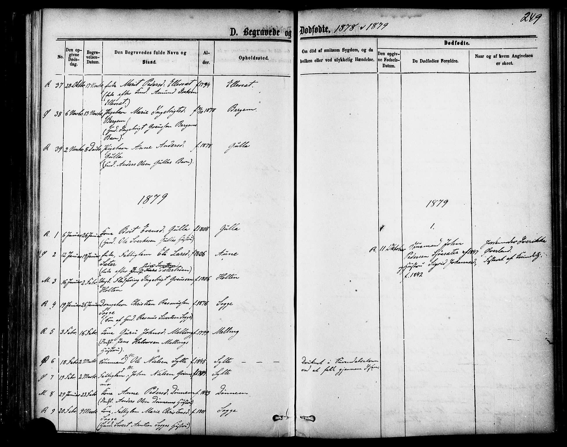 Ministerialprotokoller, klokkerbøker og fødselsregistre - Møre og Romsdal, SAT/A-1454/595/L1046: Ministerialbok nr. 595A08, 1874-1884, s. 249