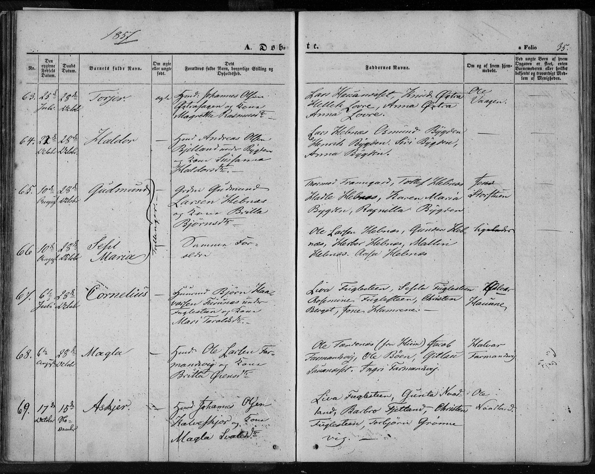 Jelsa sokneprestkontor, SAST/A-101842/01/IV: Ministerialbok nr. A 7, 1854-1866, s. 35