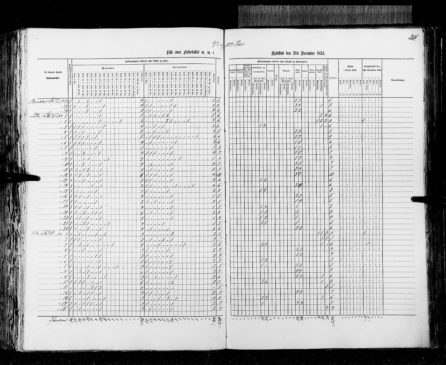 RA, Folketellingen 1855, bind 2: Kristians amt, Buskerud amt og Jarlsberg og Larvik amt, 1855, s. 264