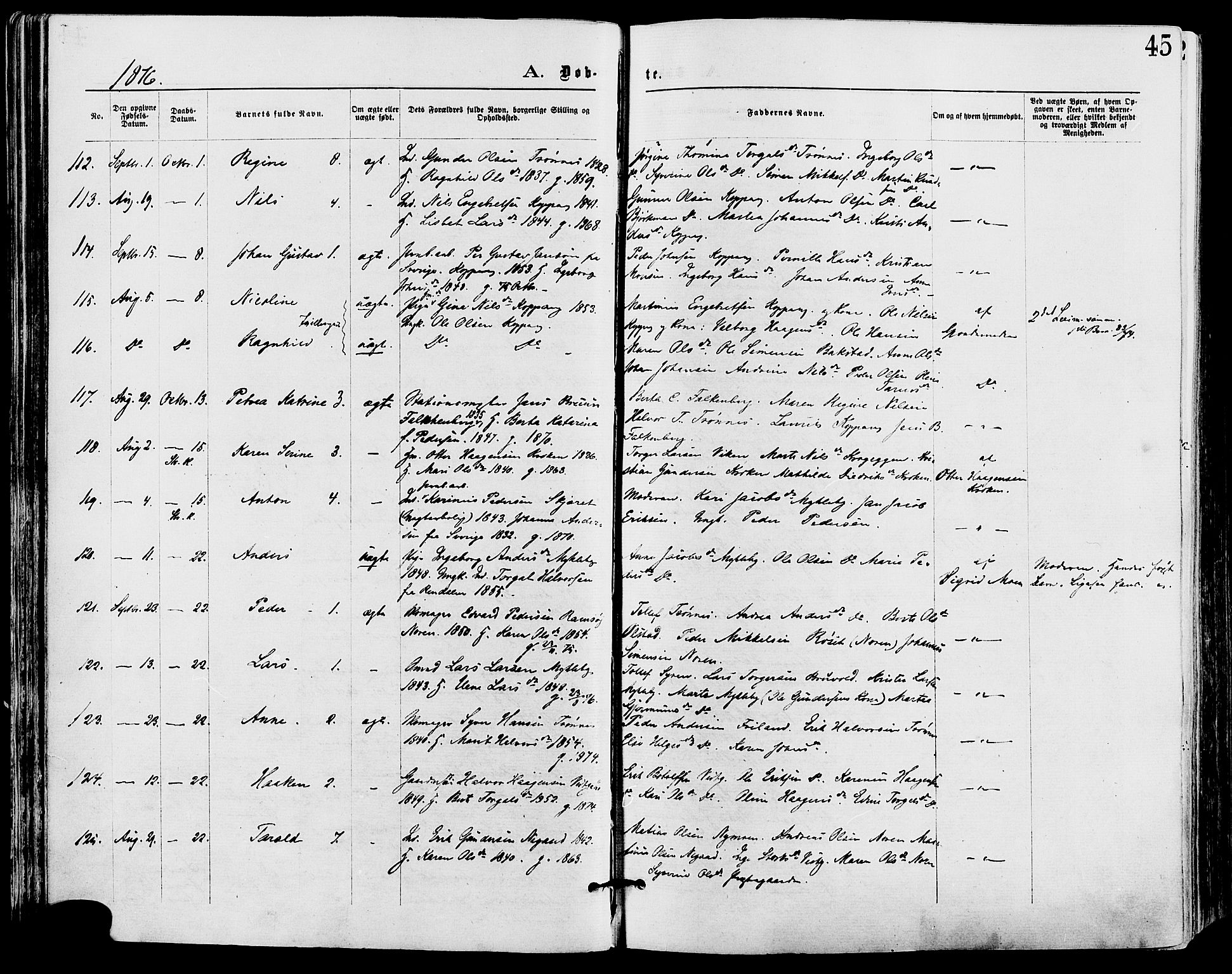 Stor-Elvdal prestekontor, AV/SAH-PREST-052/H/Ha/Haa/L0001: Ministerialbok nr. 1, 1871-1882, s. 45