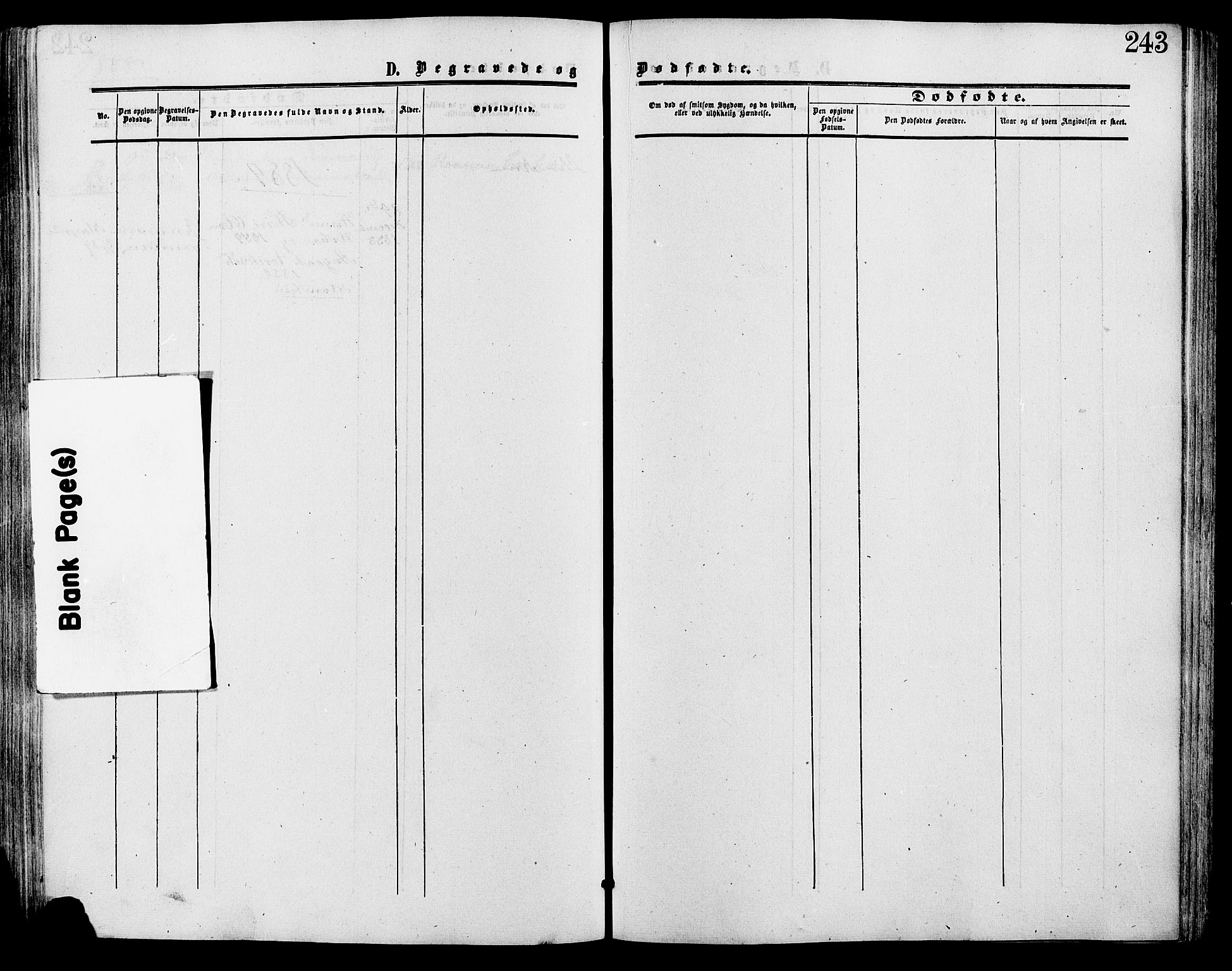 Lesja prestekontor, SAH/PREST-068/H/Ha/Haa/L0009: Ministerialbok nr. 9, 1854-1889, s. 243