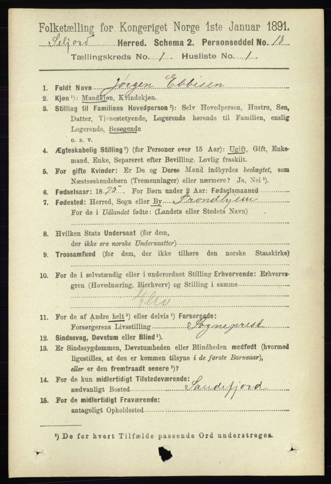 RA, Folketelling 1891 for 0828 Seljord herred, 1891, s. 124