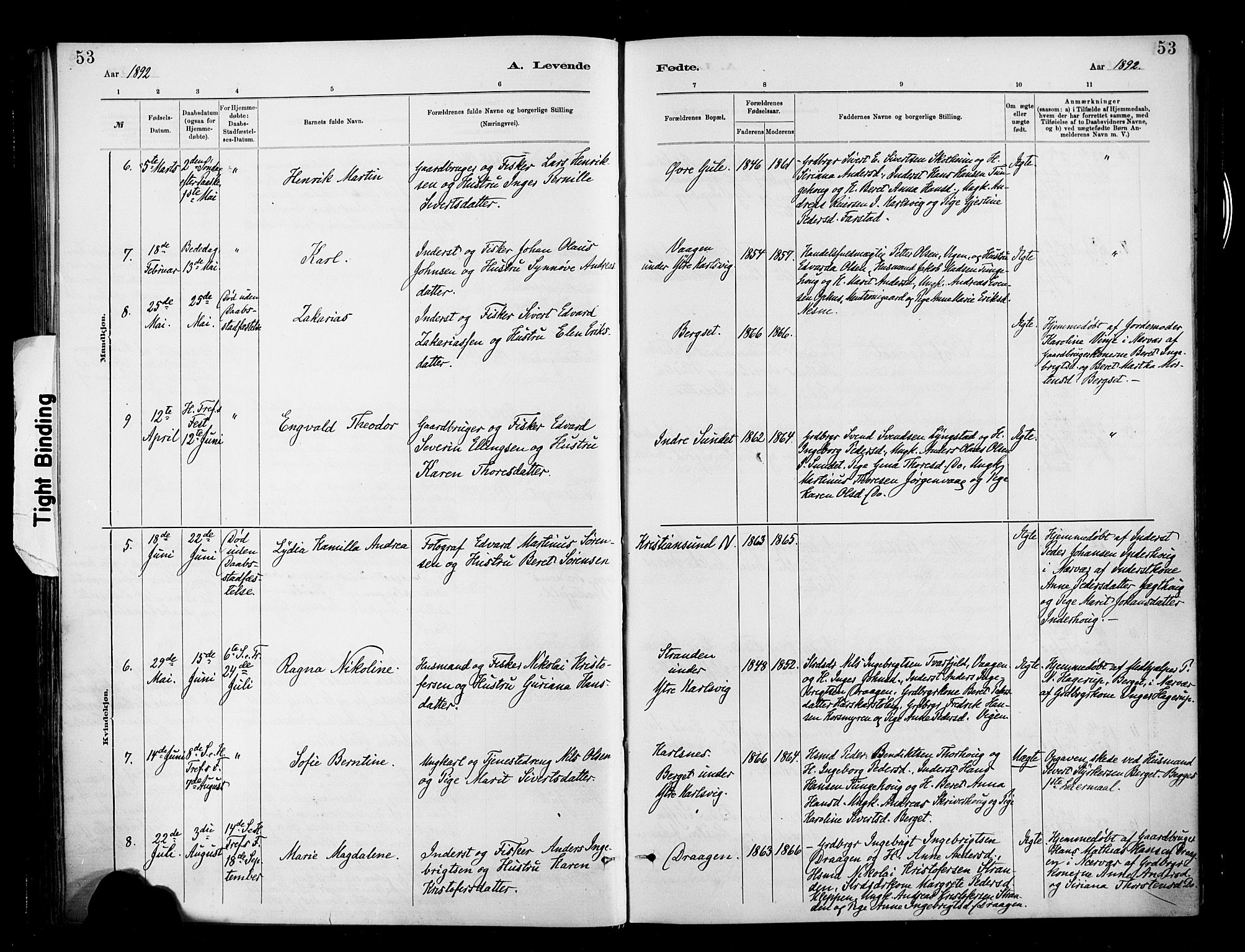 Ministerialprotokoller, klokkerbøker og fødselsregistre - Møre og Romsdal, SAT/A-1454/566/L0769: Ministerialbok nr. 566A08, 1881-1903, s. 53