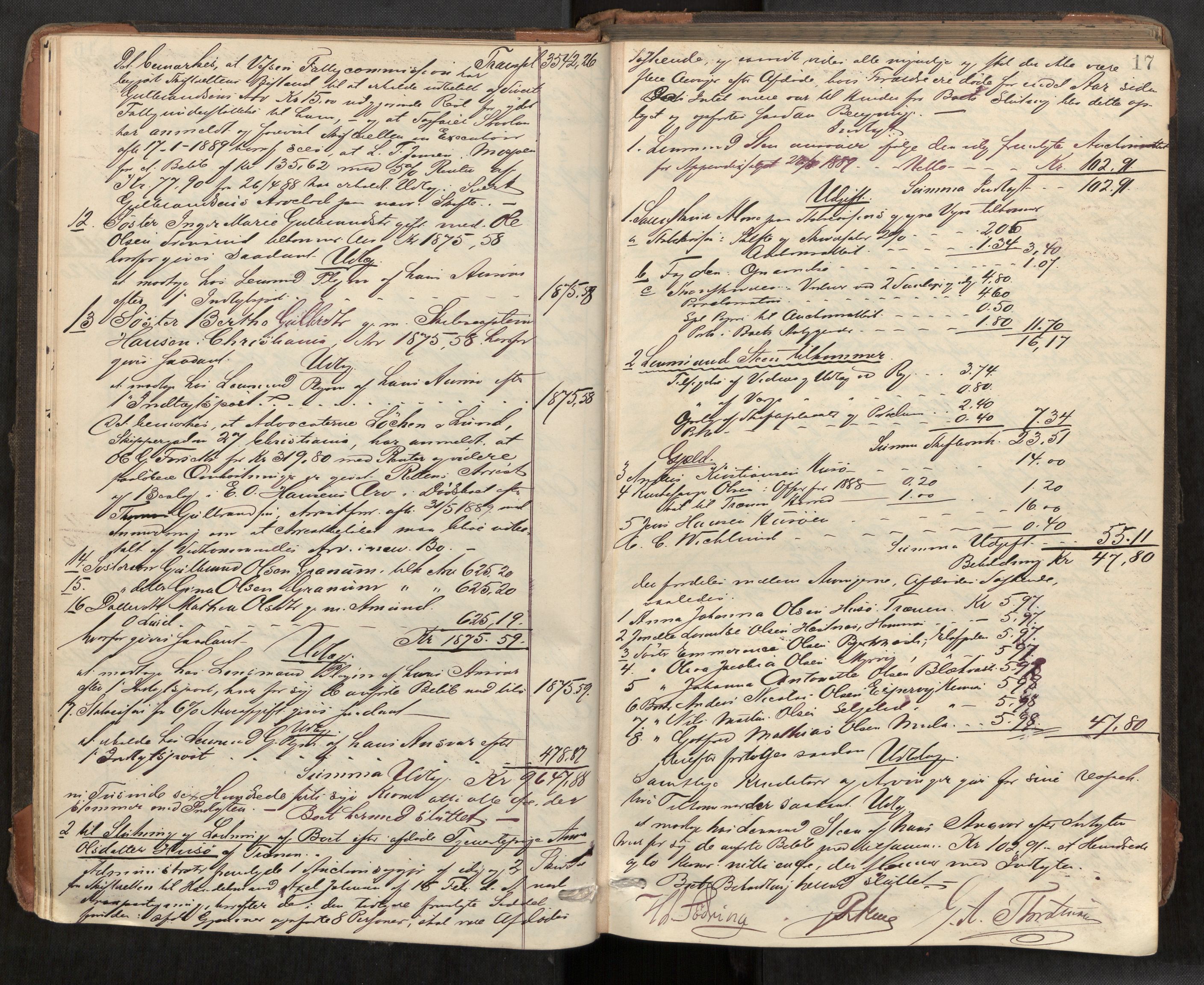 Rana sorenskriveri , AV/SAT-A-1108/1/3/3A/L0006: Skifteslutningsprotokoll, 1891-1896, s. 17
