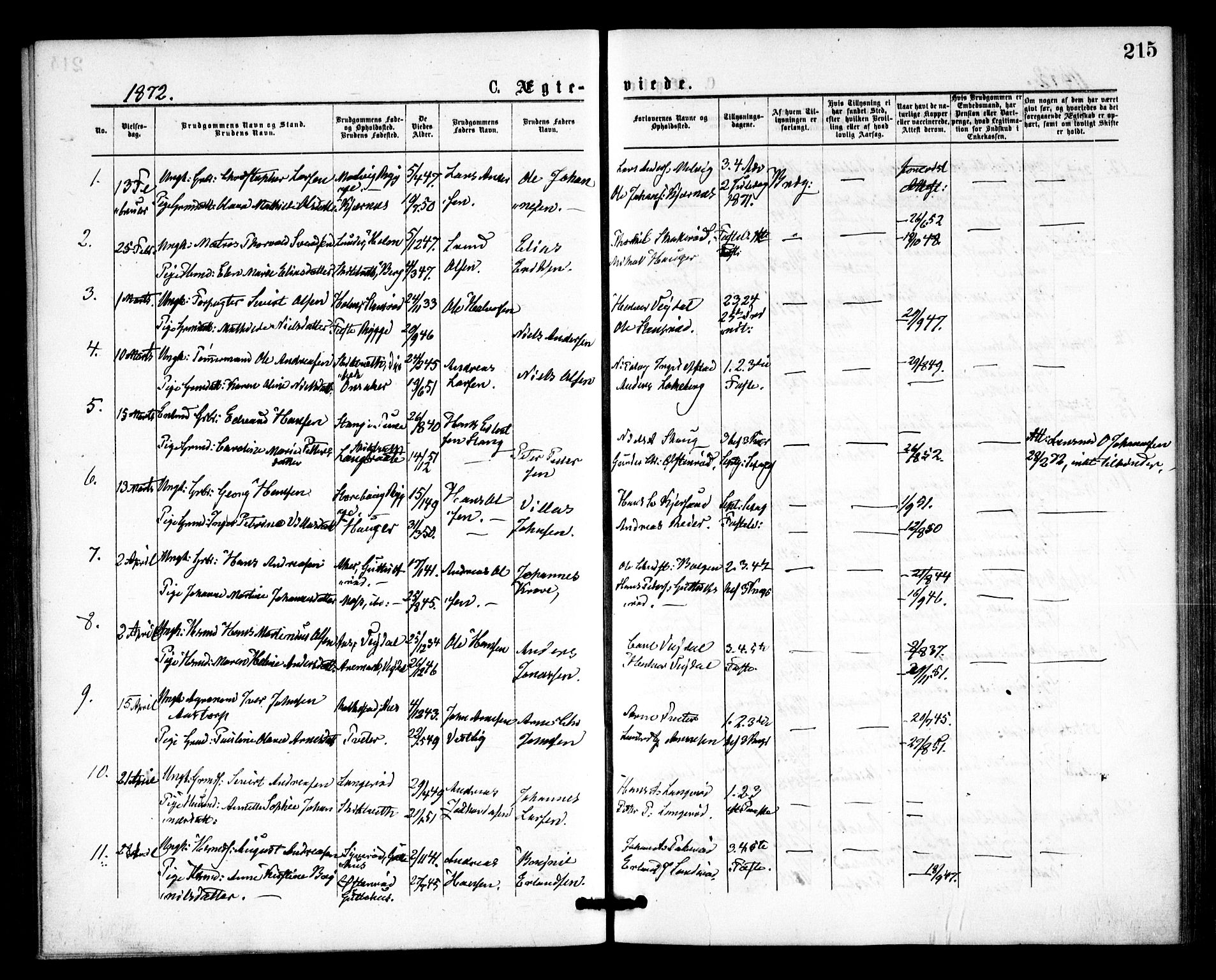 Våler prestekontor Kirkebøker, AV/SAO-A-11083/F/Fa/L0009: Ministerialbok nr. I 9, 1873-1877, s. 215
