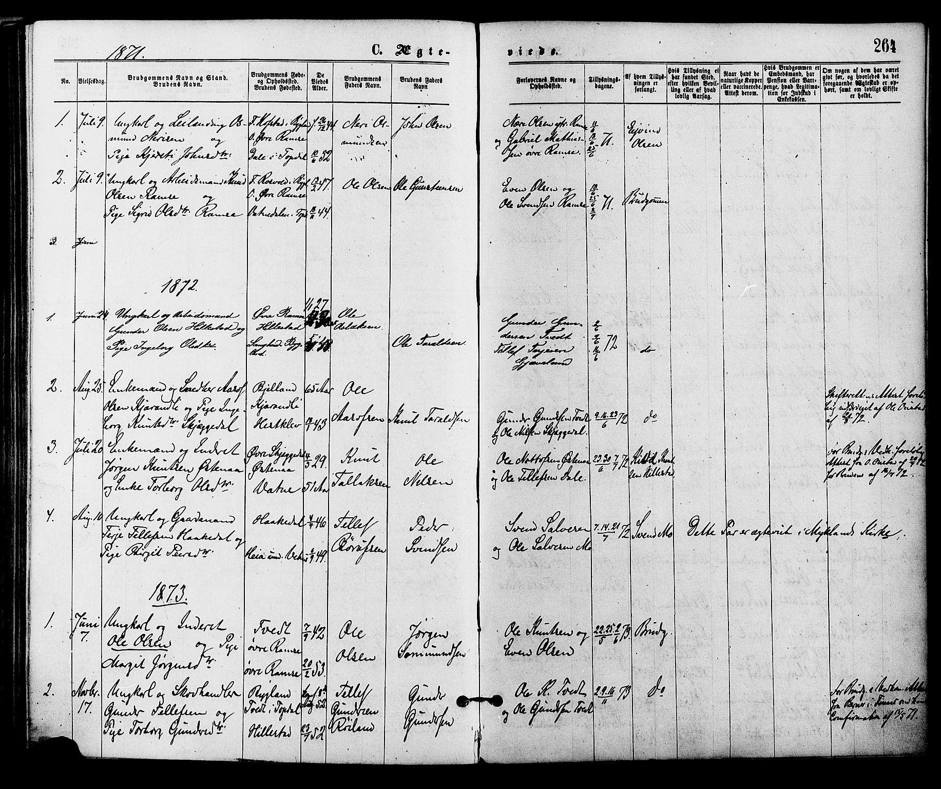 Åmli sokneprestkontor, AV/SAK-1111-0050/F/Fa/Fac/L0009: Ministerialbok nr. A 9 /3, 1869-1884, s. 264