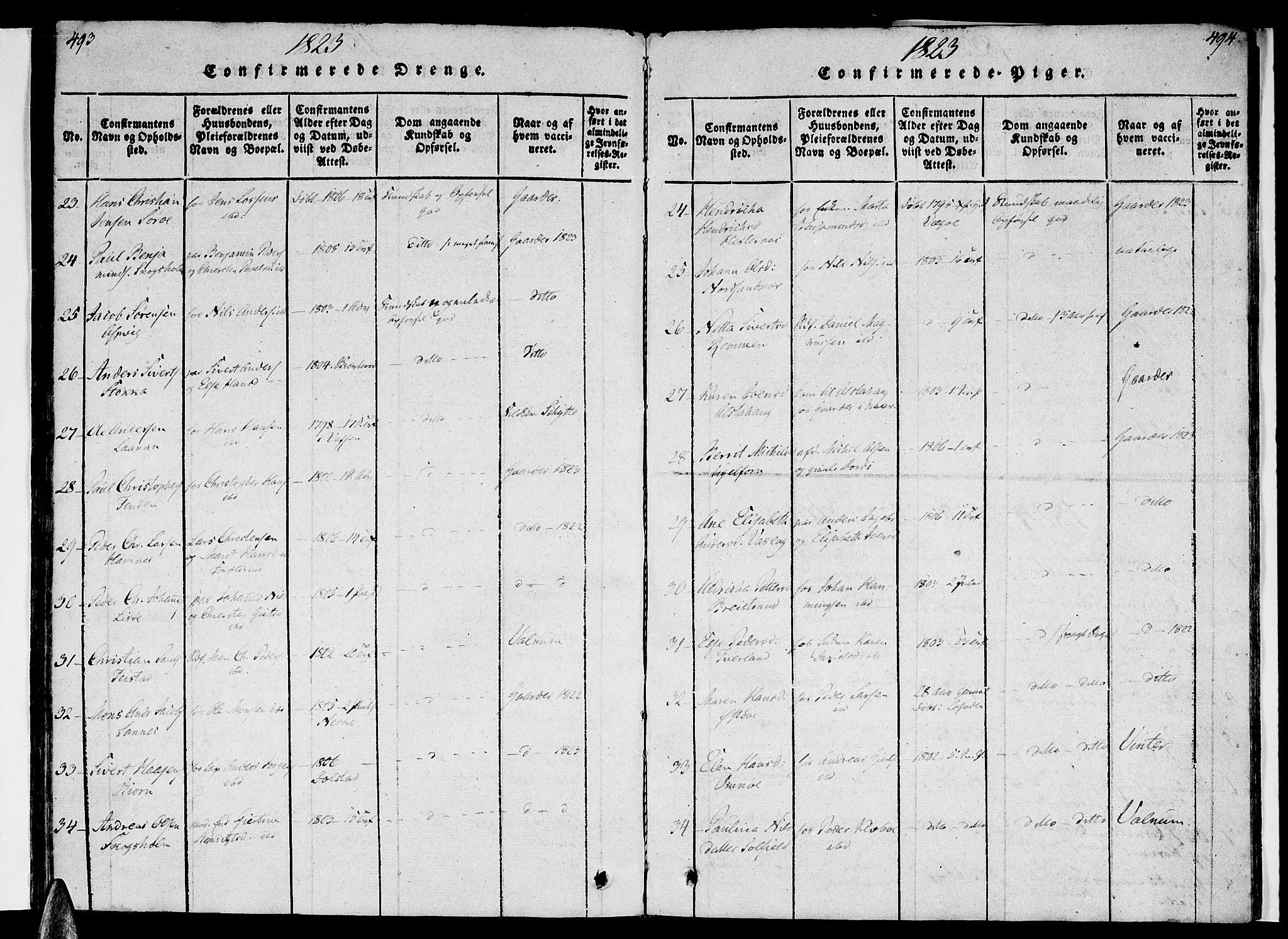 Ministerialprotokoller, klokkerbøker og fødselsregistre - Nordland, AV/SAT-A-1459/830/L0445: Ministerialbok nr. 830A09, 1820-1830, s. 493-494