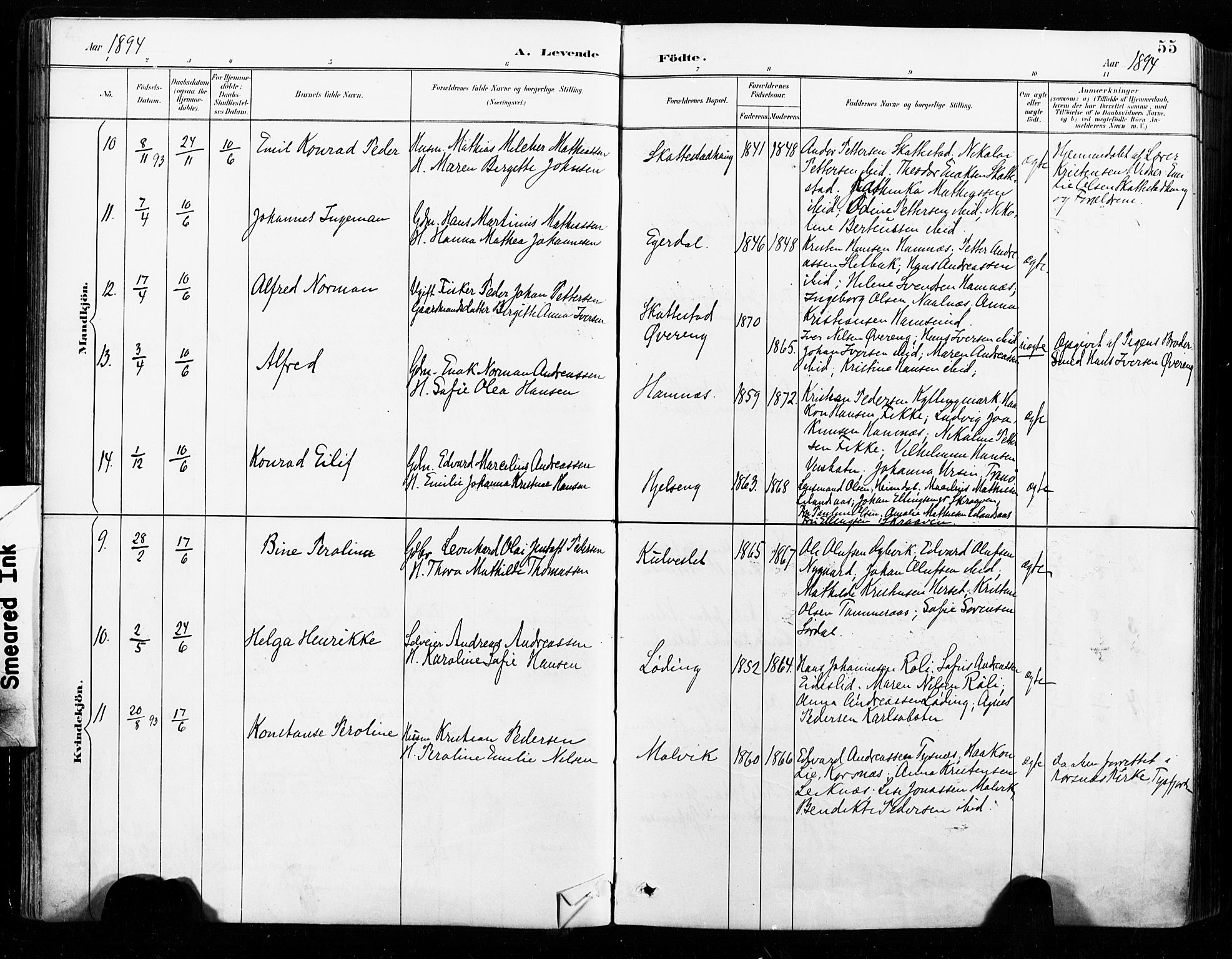 Ministerialprotokoller, klokkerbøker og fødselsregistre - Nordland, AV/SAT-A-1459/859/L0847: Ministerialbok nr. 859A07, 1890-1899, s. 55