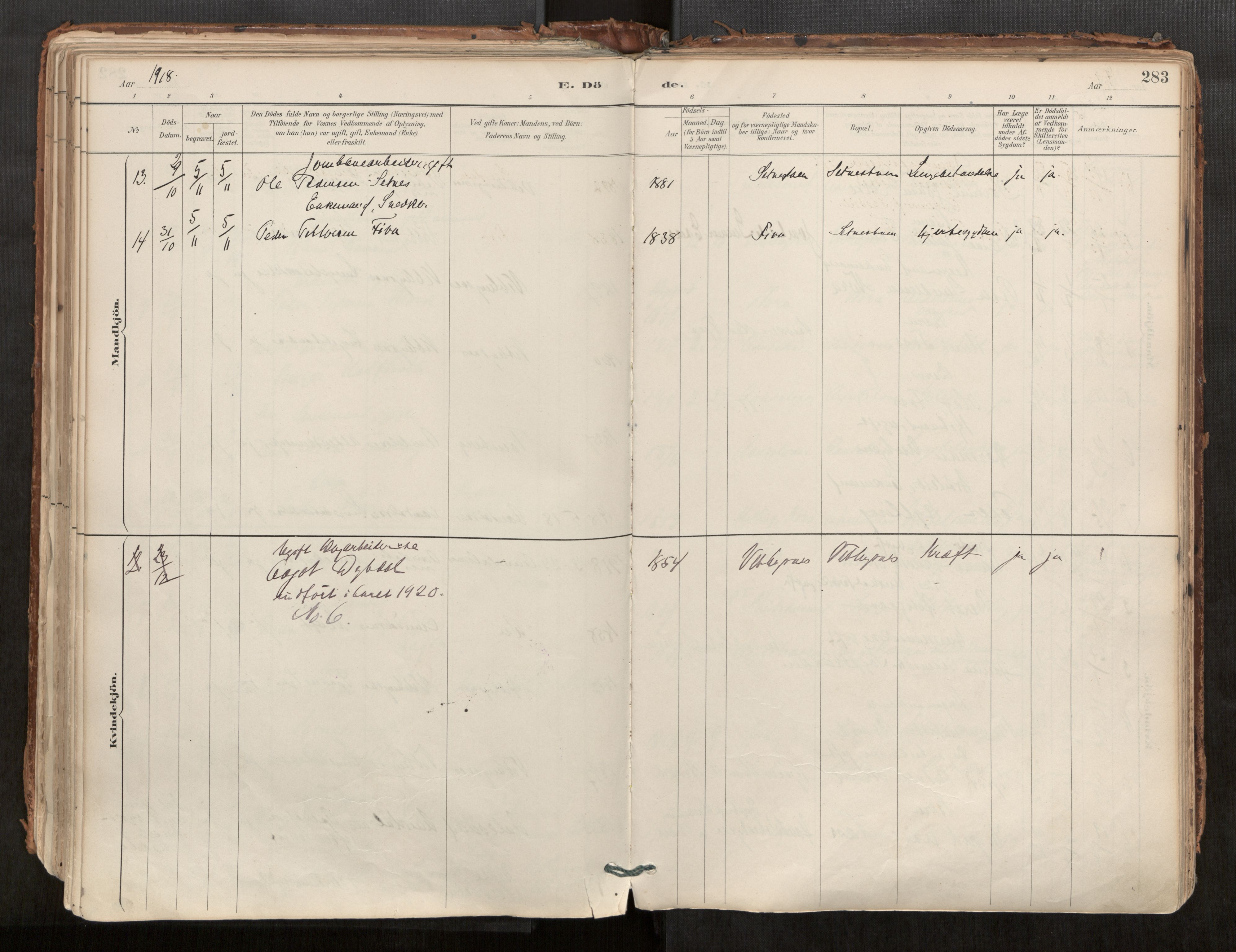 Ministerialprotokoller, klokkerbøker og fødselsregistre - Møre og Romsdal, AV/SAT-A-1454/544/L0585: Ministerialbok nr. 544A06, 1887-1924, s. 283