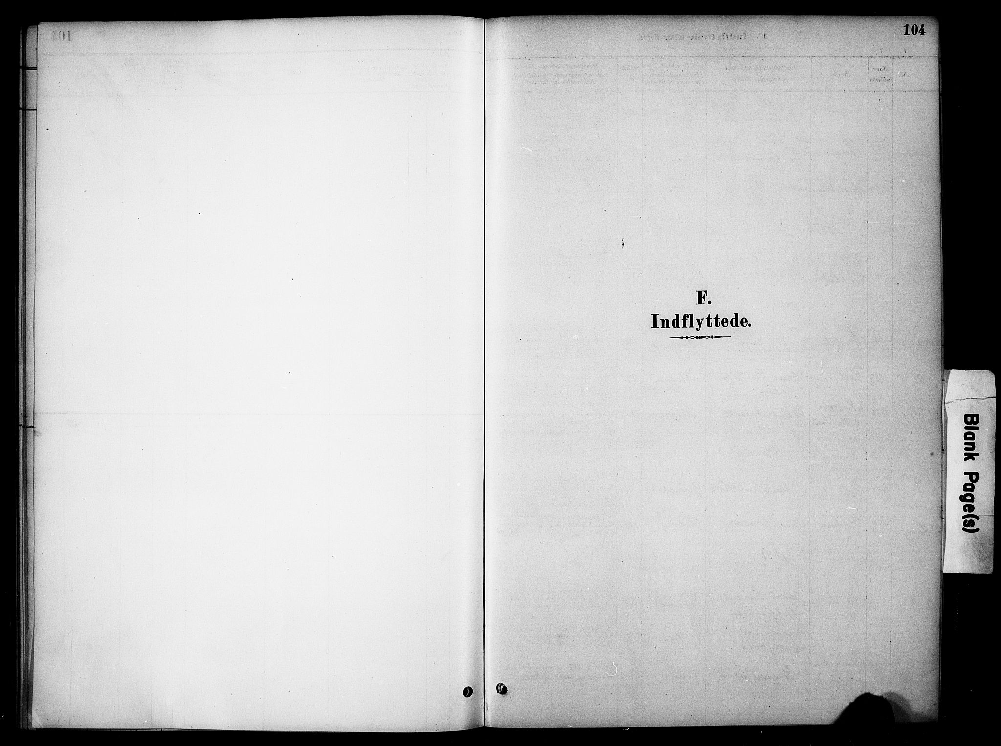 Tynset prestekontor, AV/SAH-PREST-058/H/Ha/Haa/L0023: Ministerialbok nr. 23, 1880-1901, s. 104