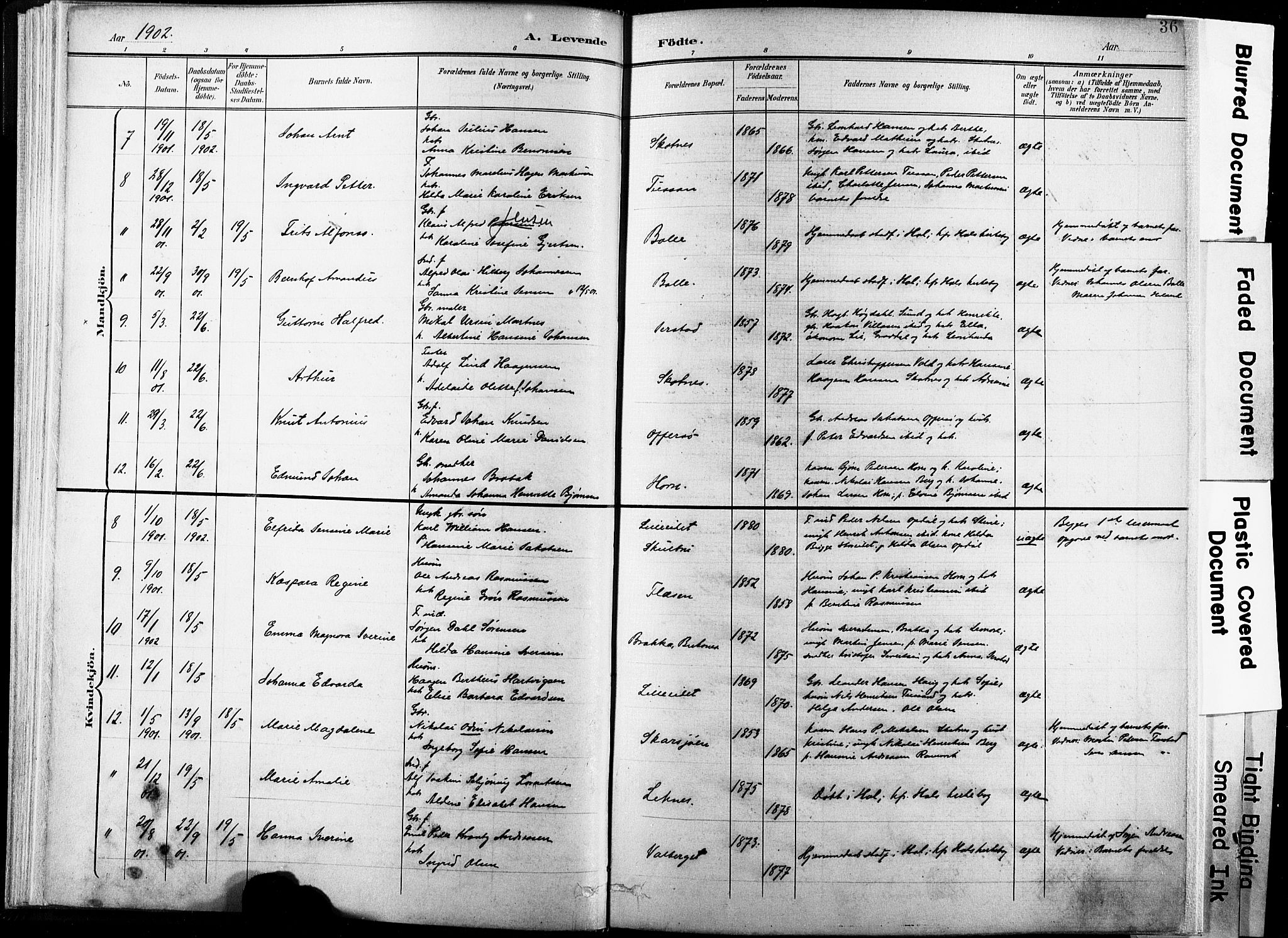 Ministerialprotokoller, klokkerbøker og fødselsregistre - Nordland, AV/SAT-A-1459/881/L1151: Ministerialbok nr. 881A04, 1899-1907, s. 36