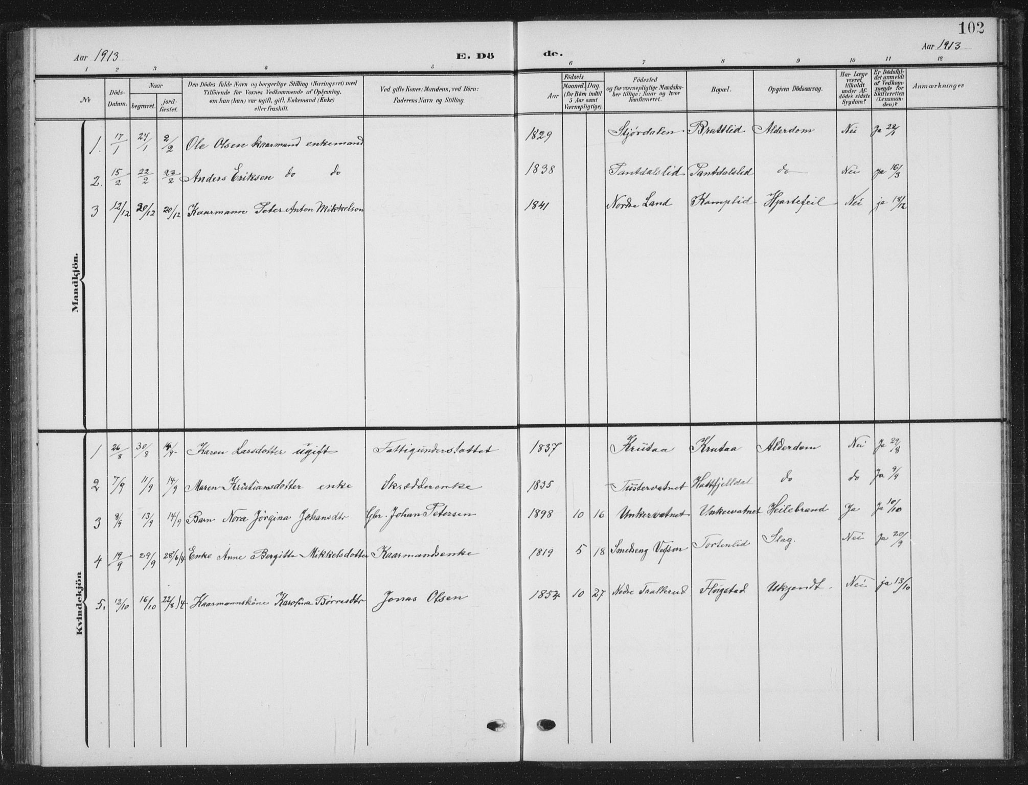 Ministerialprotokoller, klokkerbøker og fødselsregistre - Nordland, SAT/A-1459/823/L0331: Klokkerbok nr. 823C03, 1905-1934, s. 102